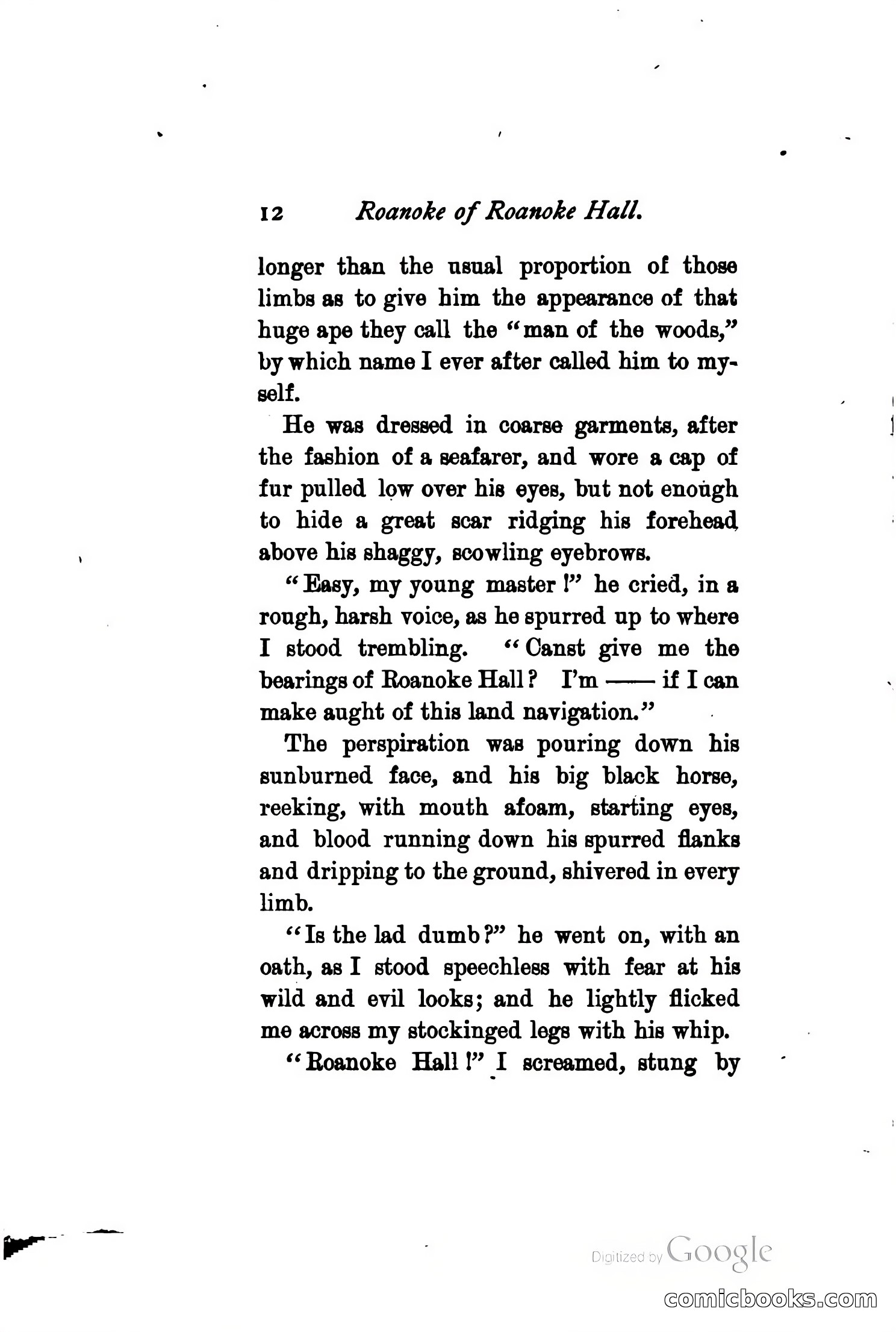 Roanoke of Roanoke Hall: A Romance — page 18 of 230
