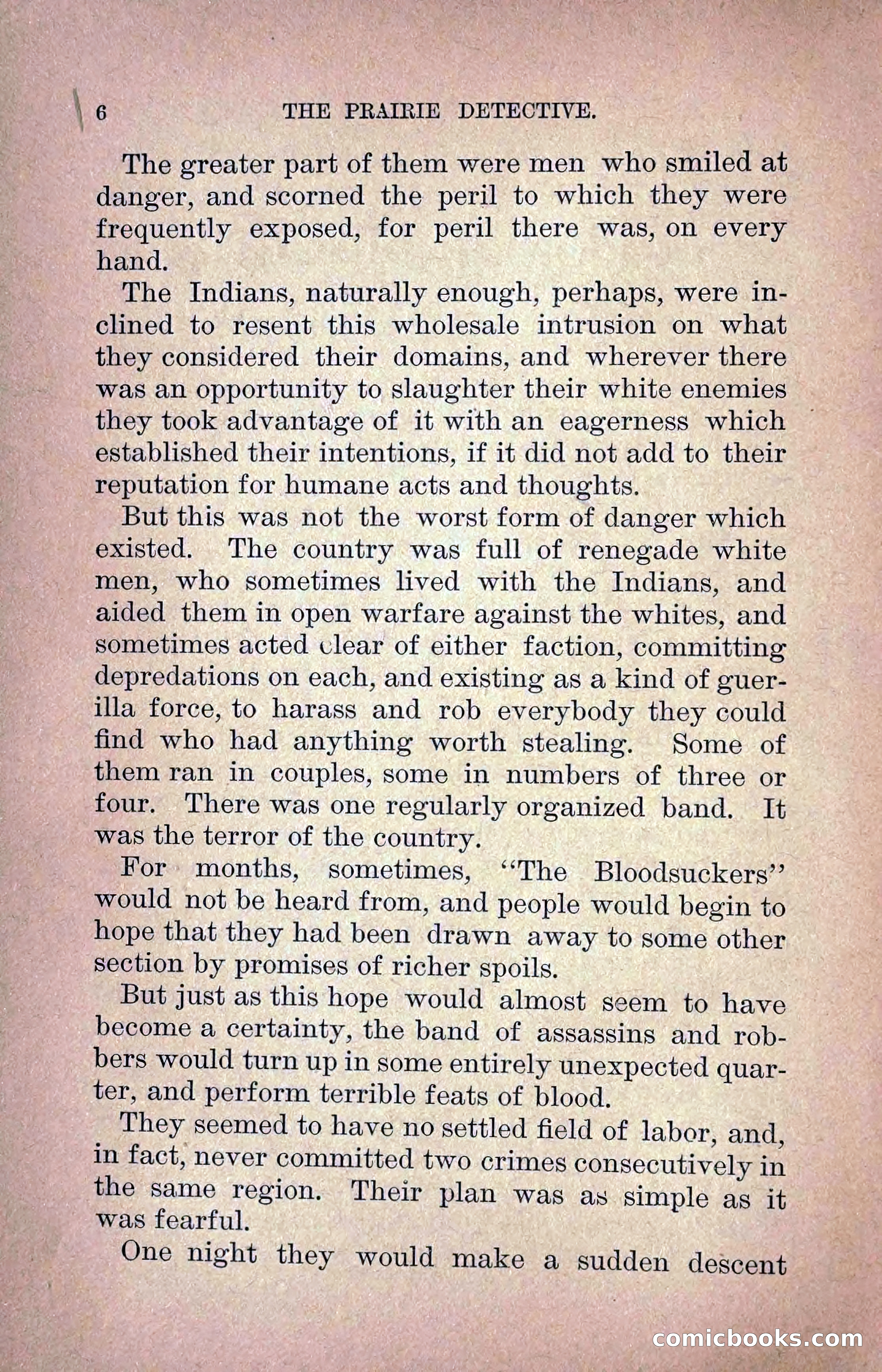The Prairie Detective: Secret Service Series No. 24 — page 8 of 218
