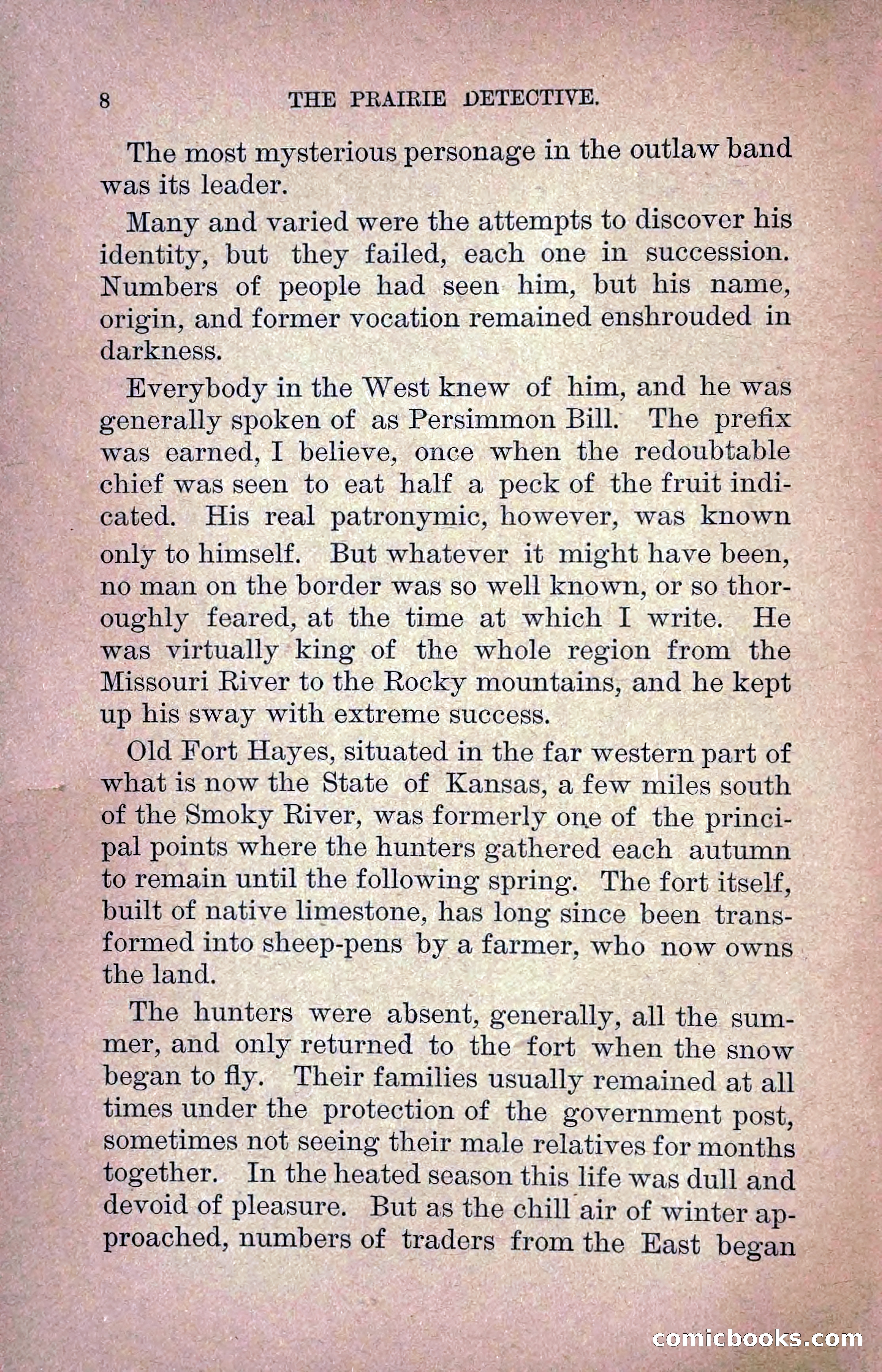The Prairie Detective: Secret Service Series No. 24 — page 10 of 218