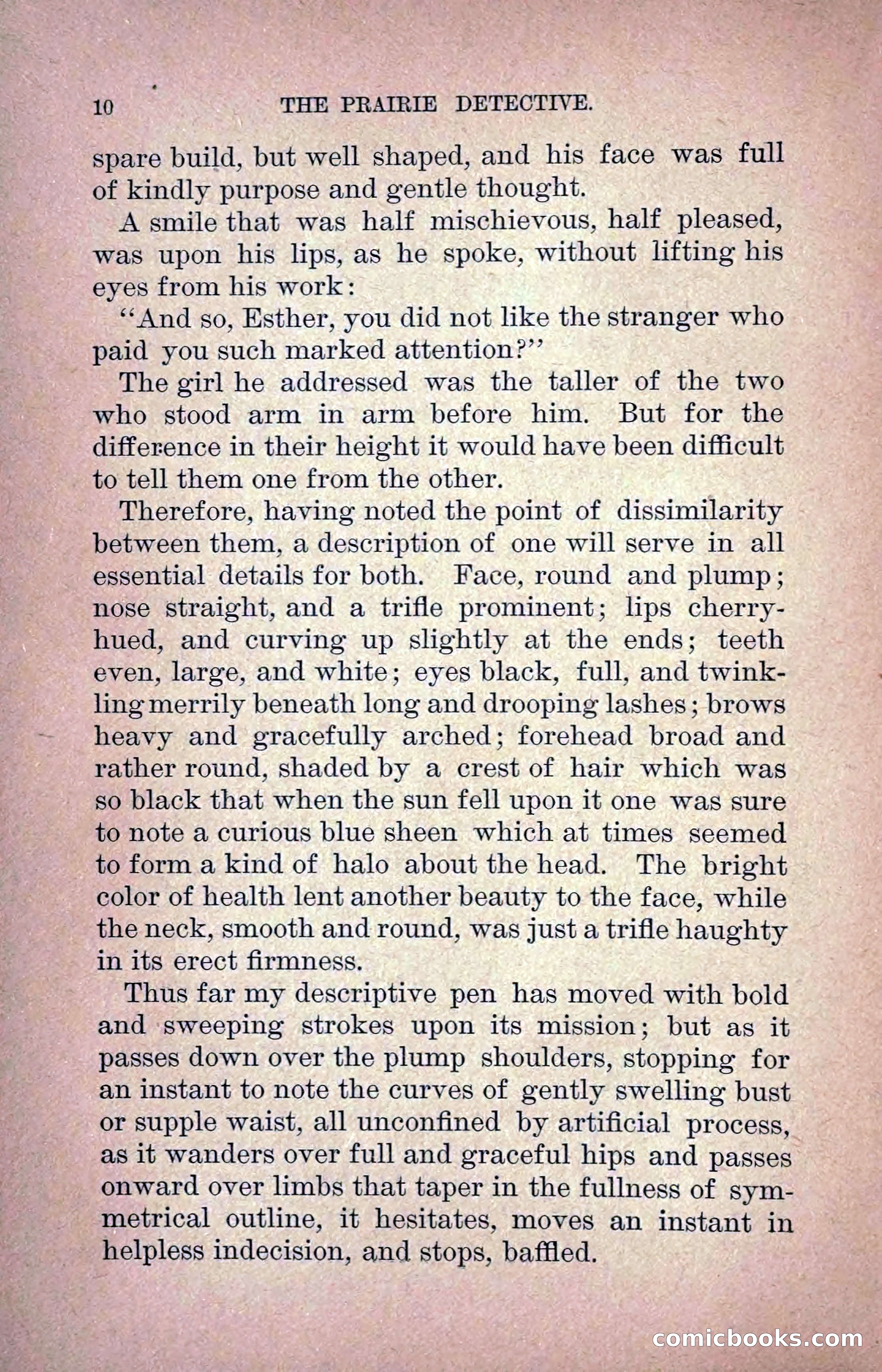 The Prairie Detective: Secret Service Series No. 24 — page 12 of 218