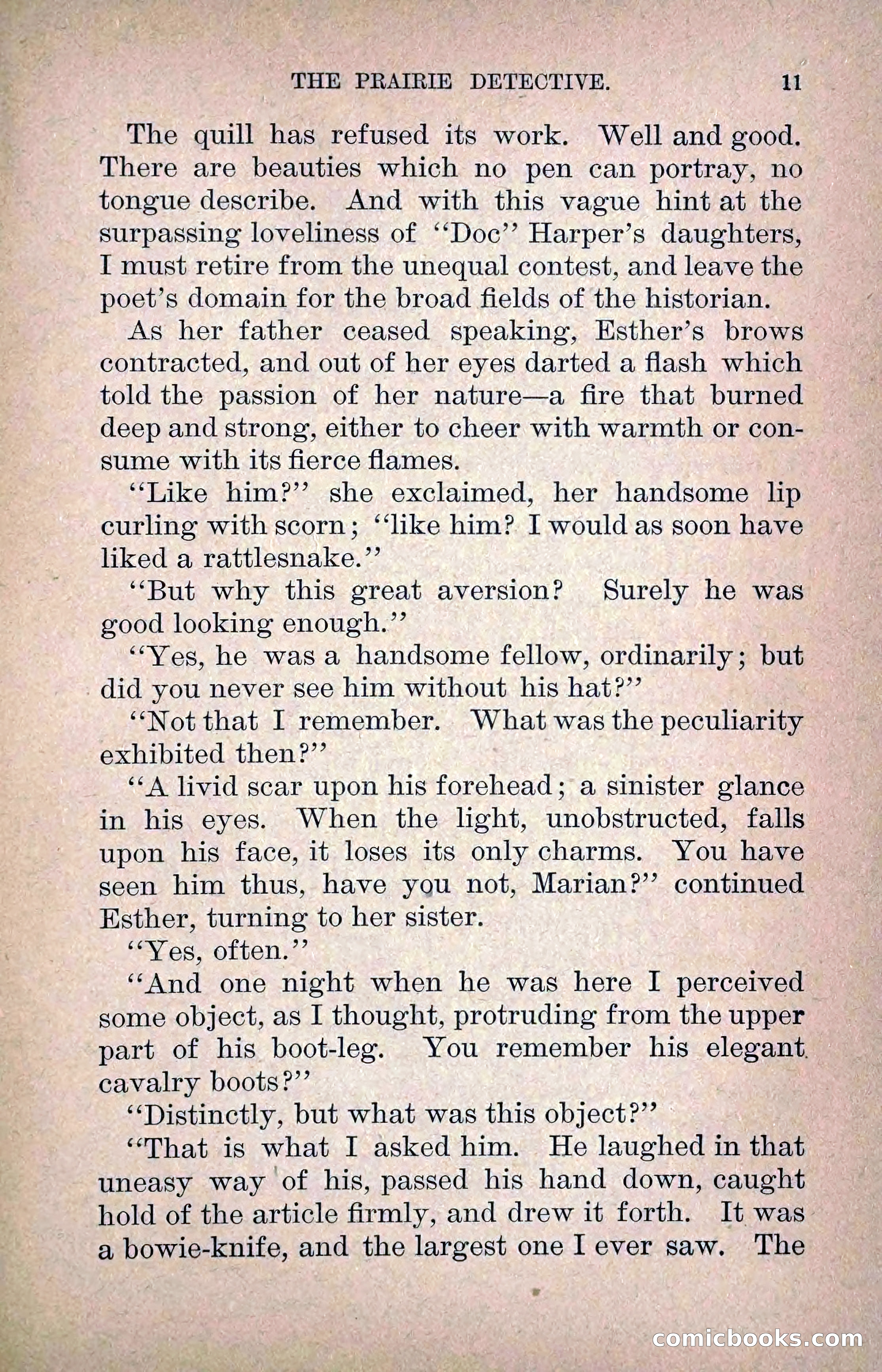 The Prairie Detective: Secret Service Series No. 24 — page 13 of 218