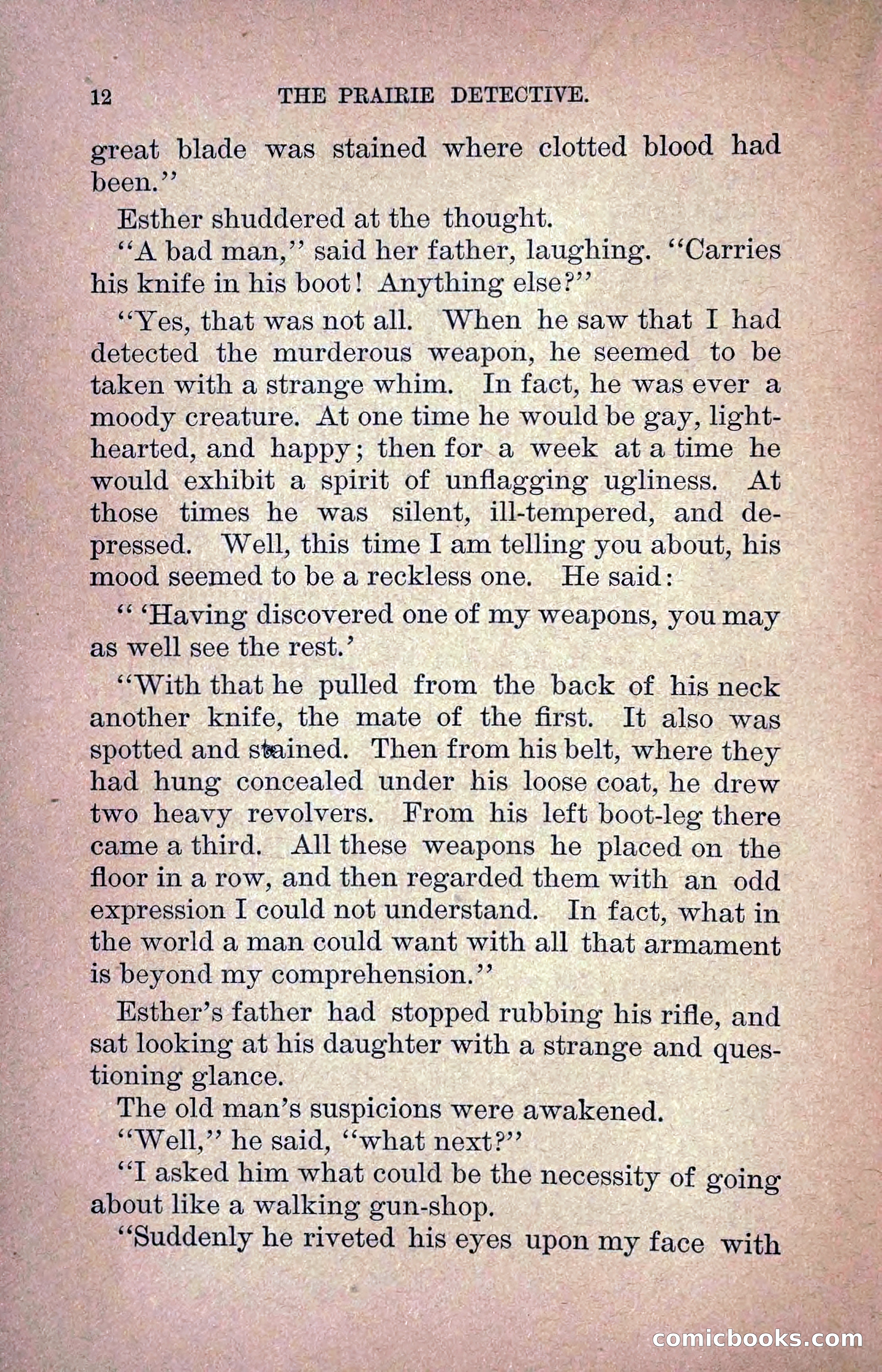 The Prairie Detective: Secret Service Series No. 24 — page 14 of 218