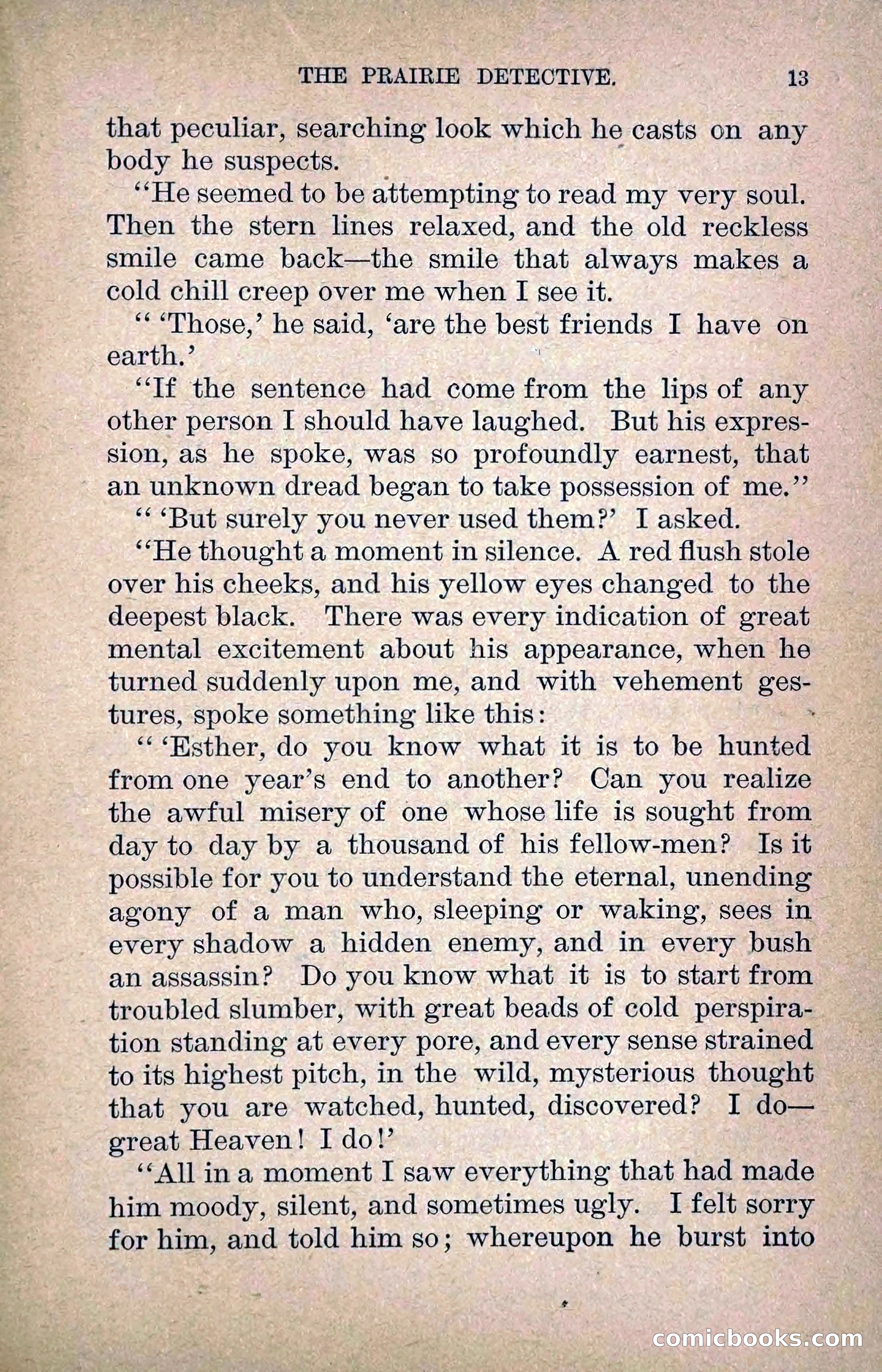 The Prairie Detective: Secret Service Series No. 24 — page 15 of 218