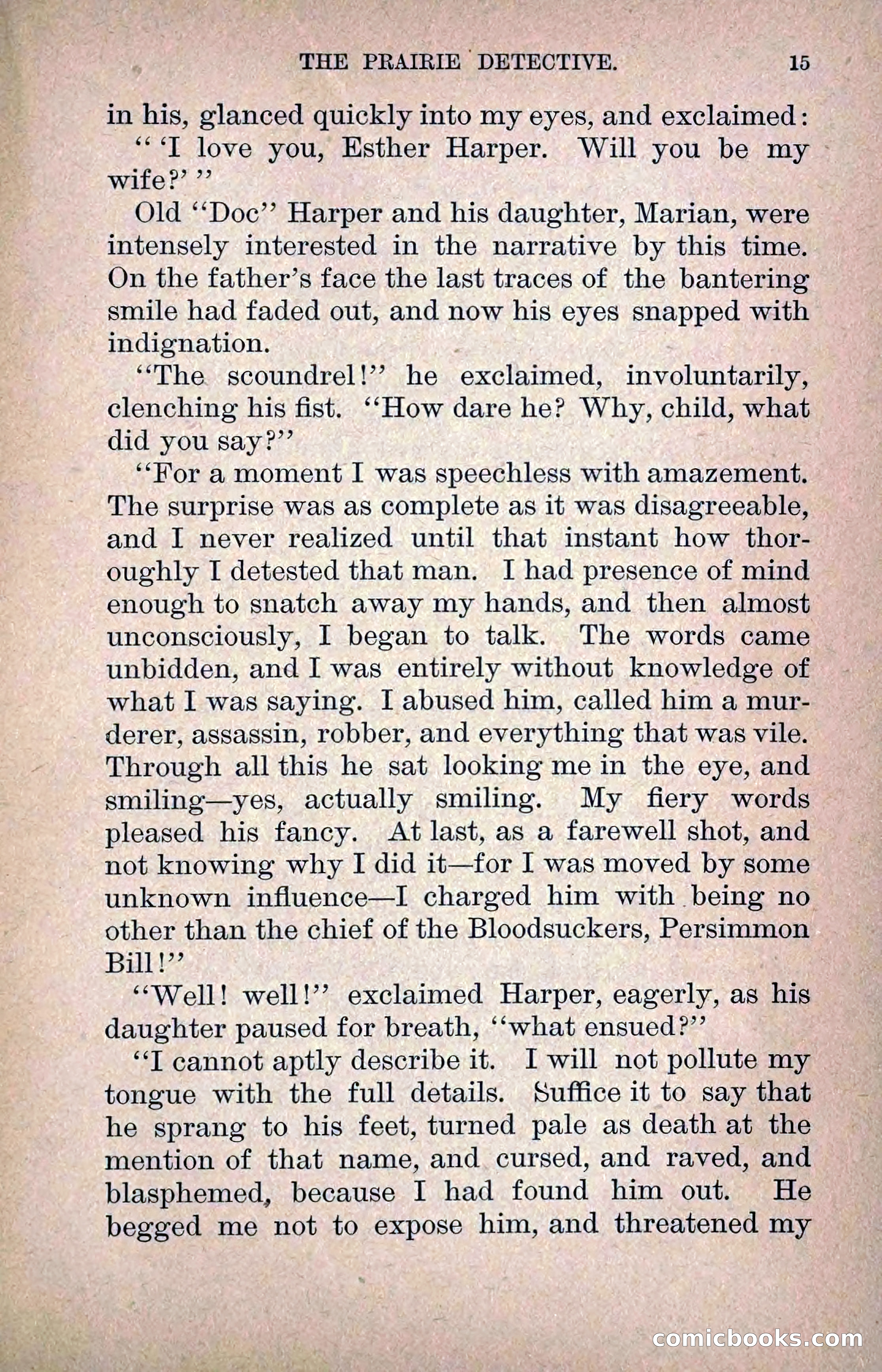 The Prairie Detective: Secret Service Series No. 24 — page 17 of 218