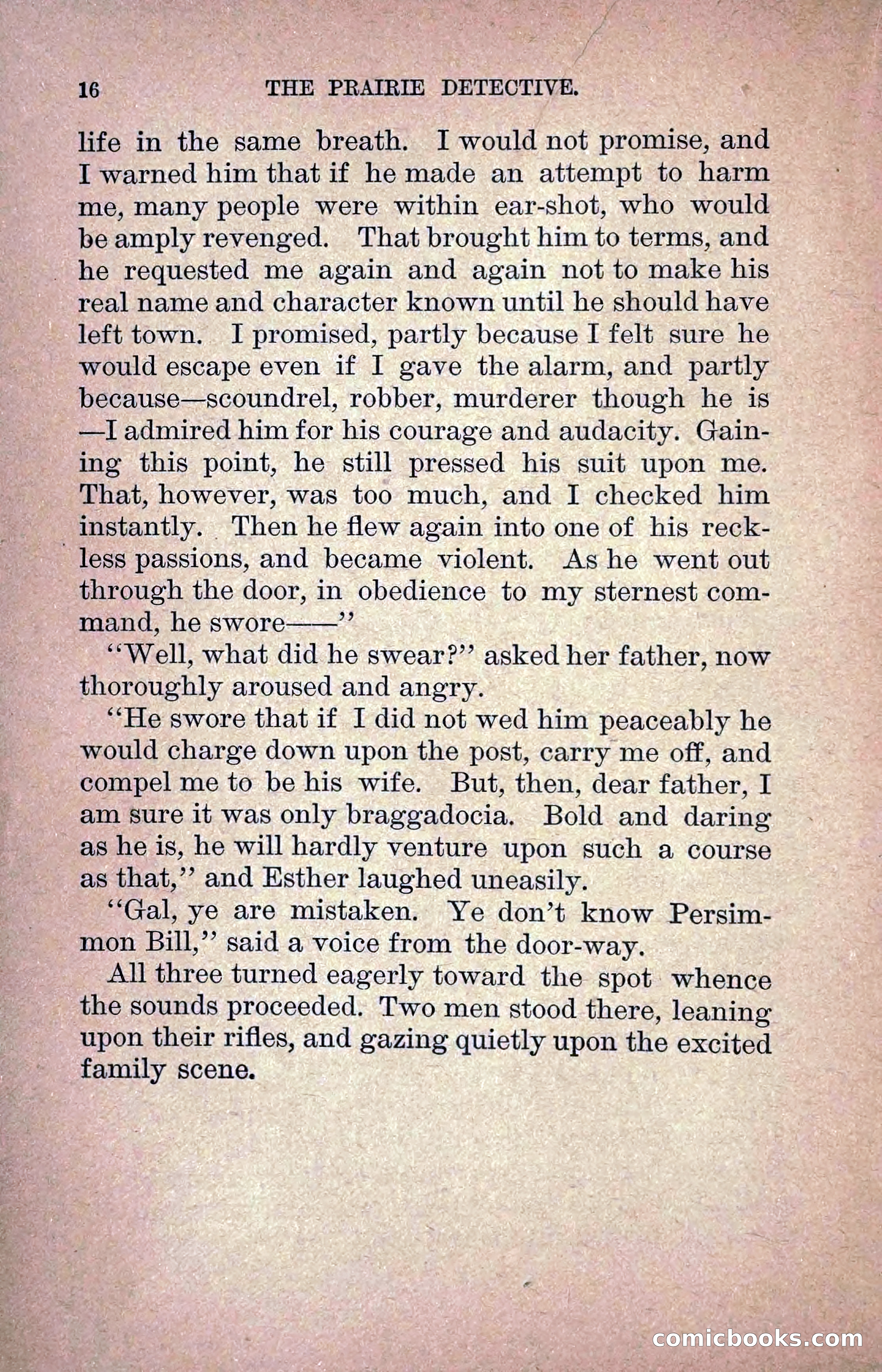 The Prairie Detective: Secret Service Series No. 24 — page 18 of 218