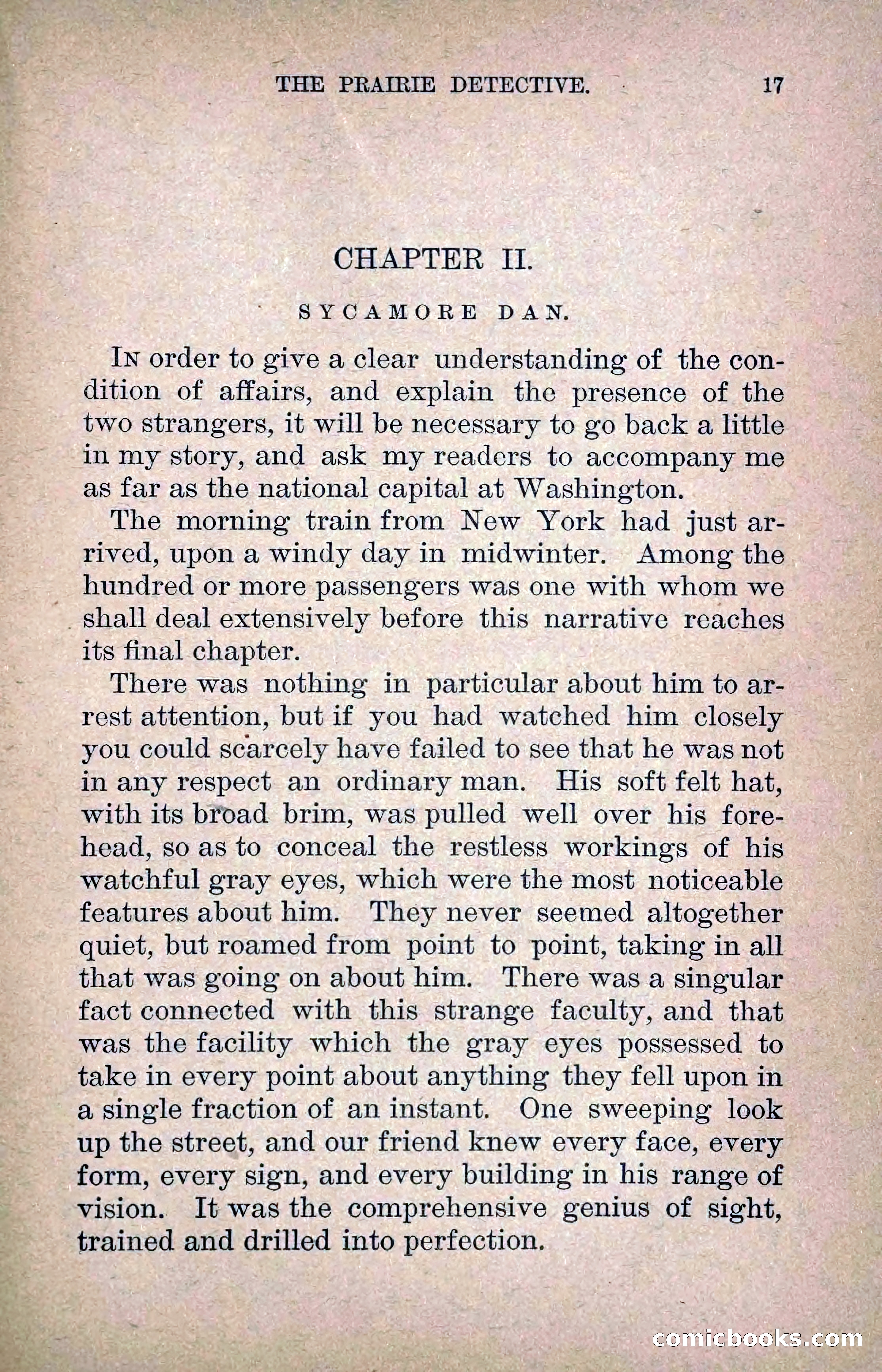 The Prairie Detective: Secret Service Series No. 24 — page 19 of 218