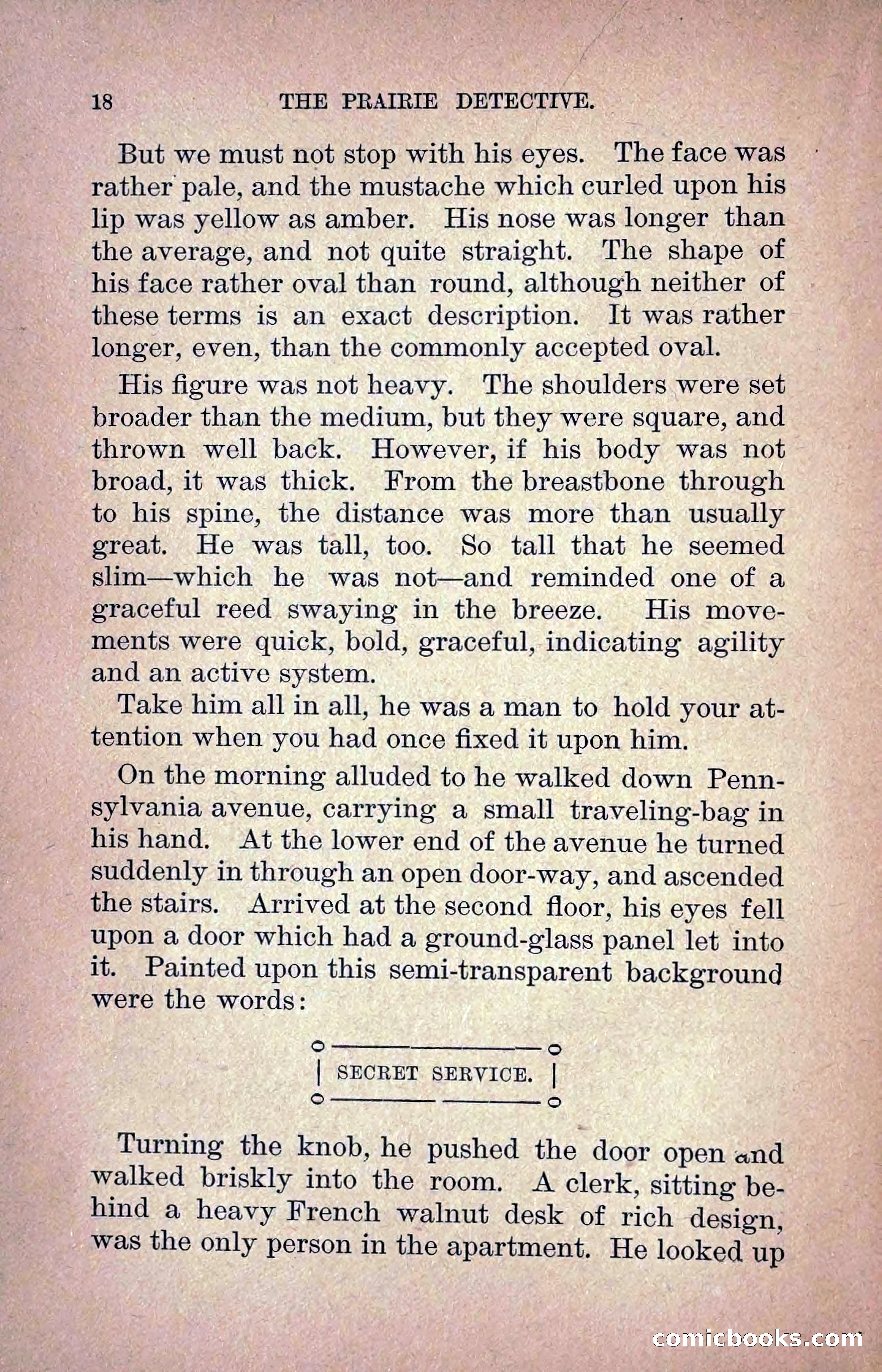The Prairie Detective: Secret Service Series No. 24 — page 20 of 218