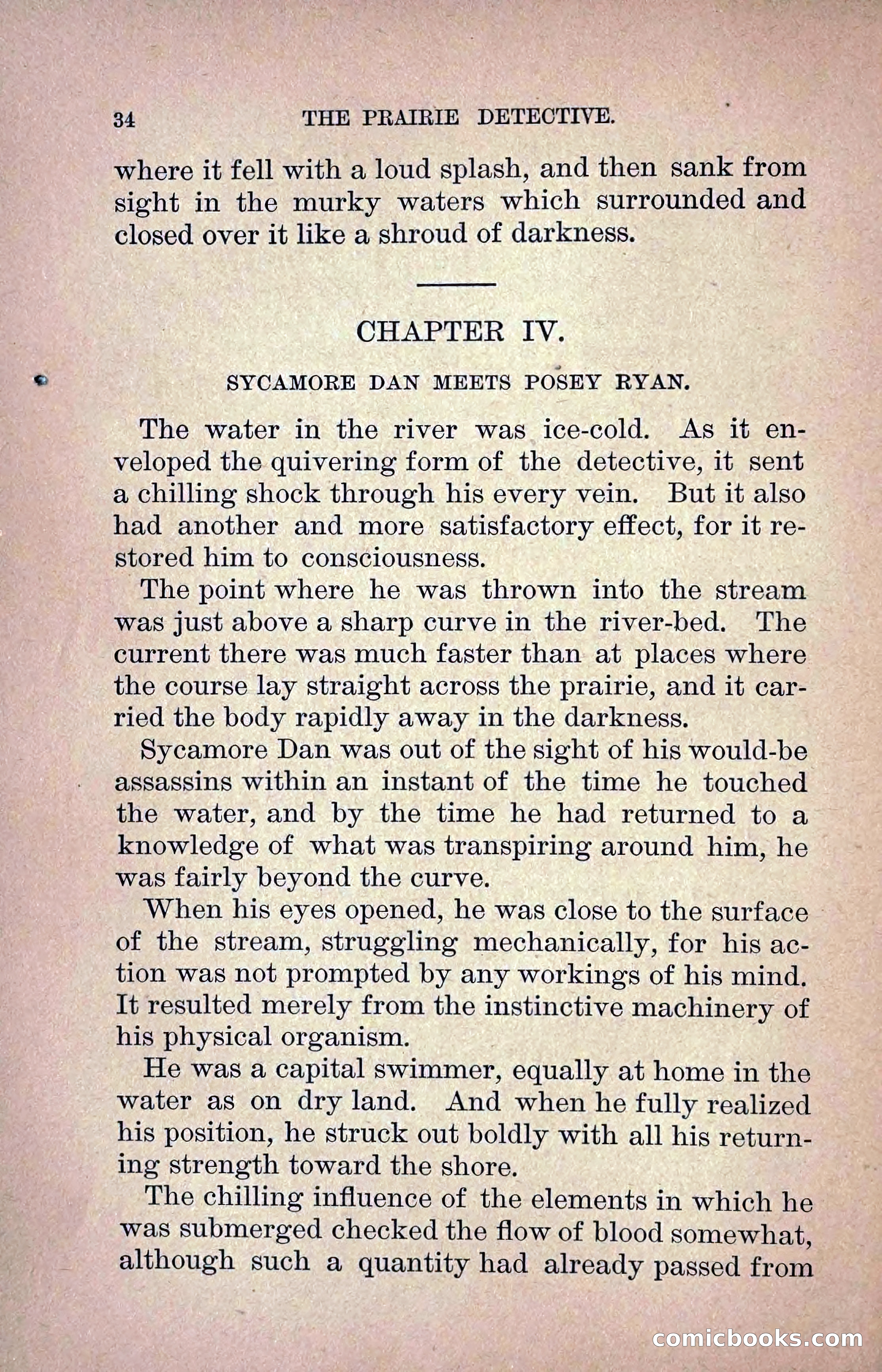 The Prairie Detective: Secret Service Series No. 24 — page 36 of 218