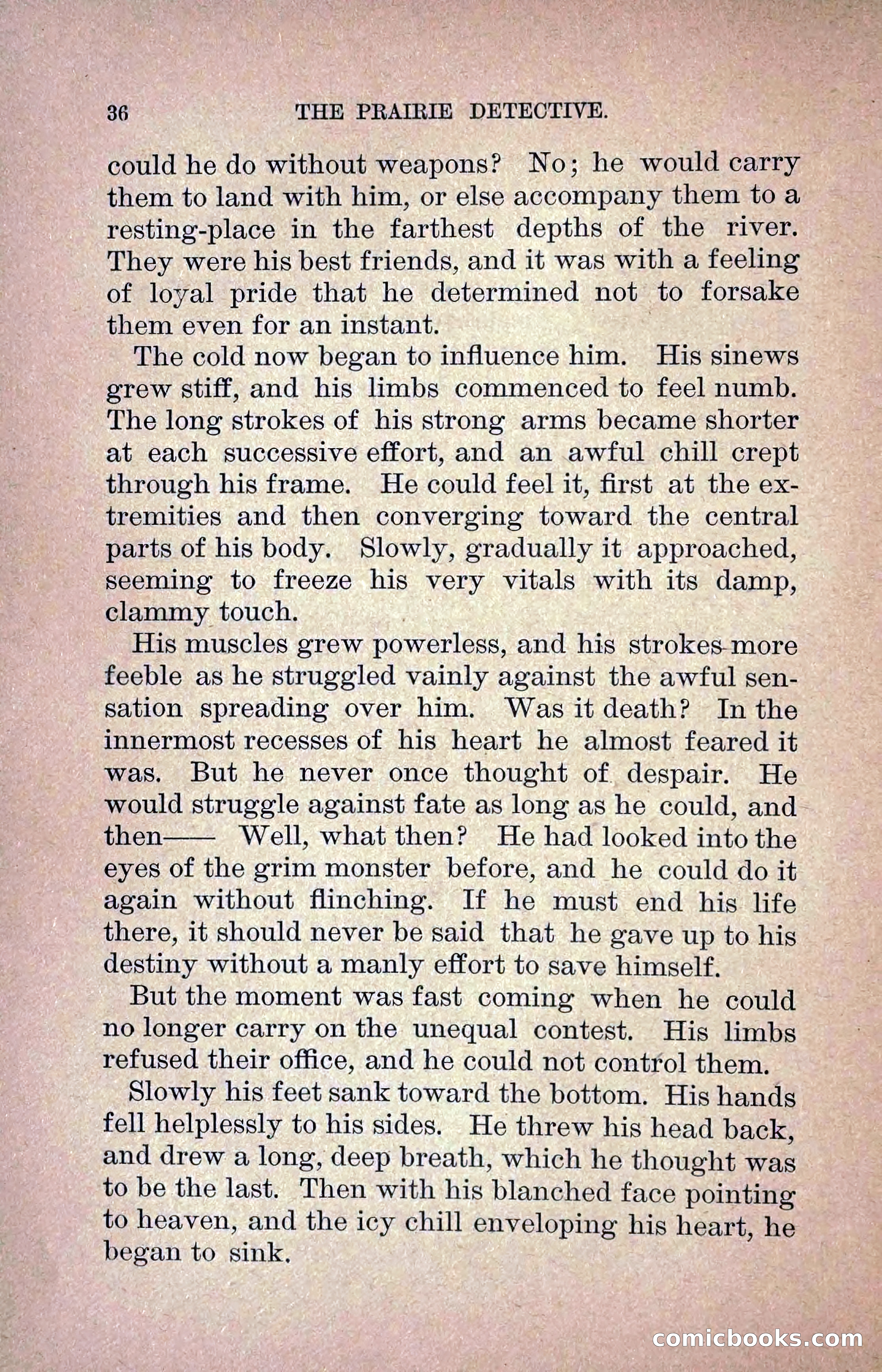 The Prairie Detective: Secret Service Series No. 24 — page 38 of 218