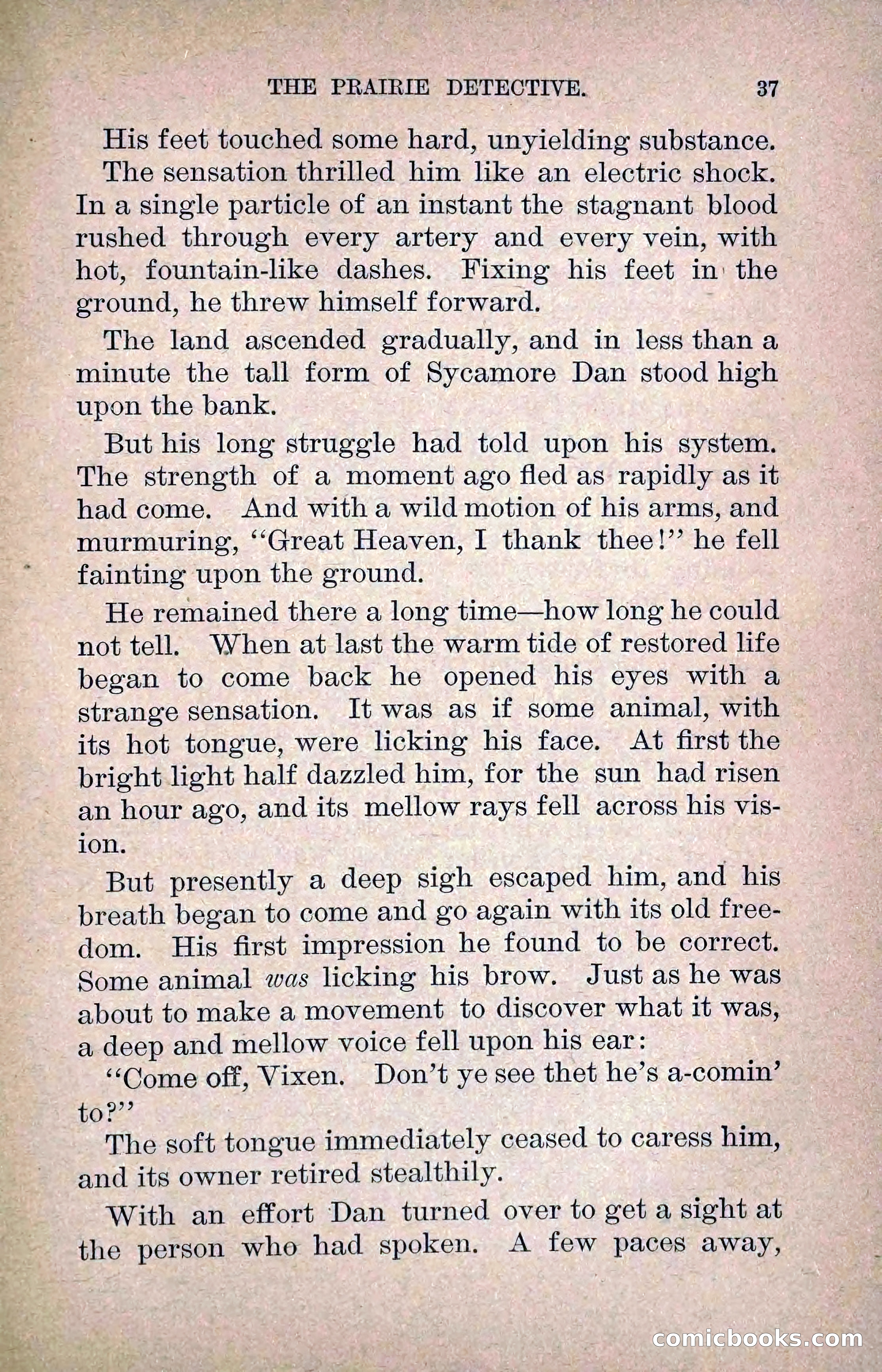 The Prairie Detective: Secret Service Series No. 24 — page 39 of 218