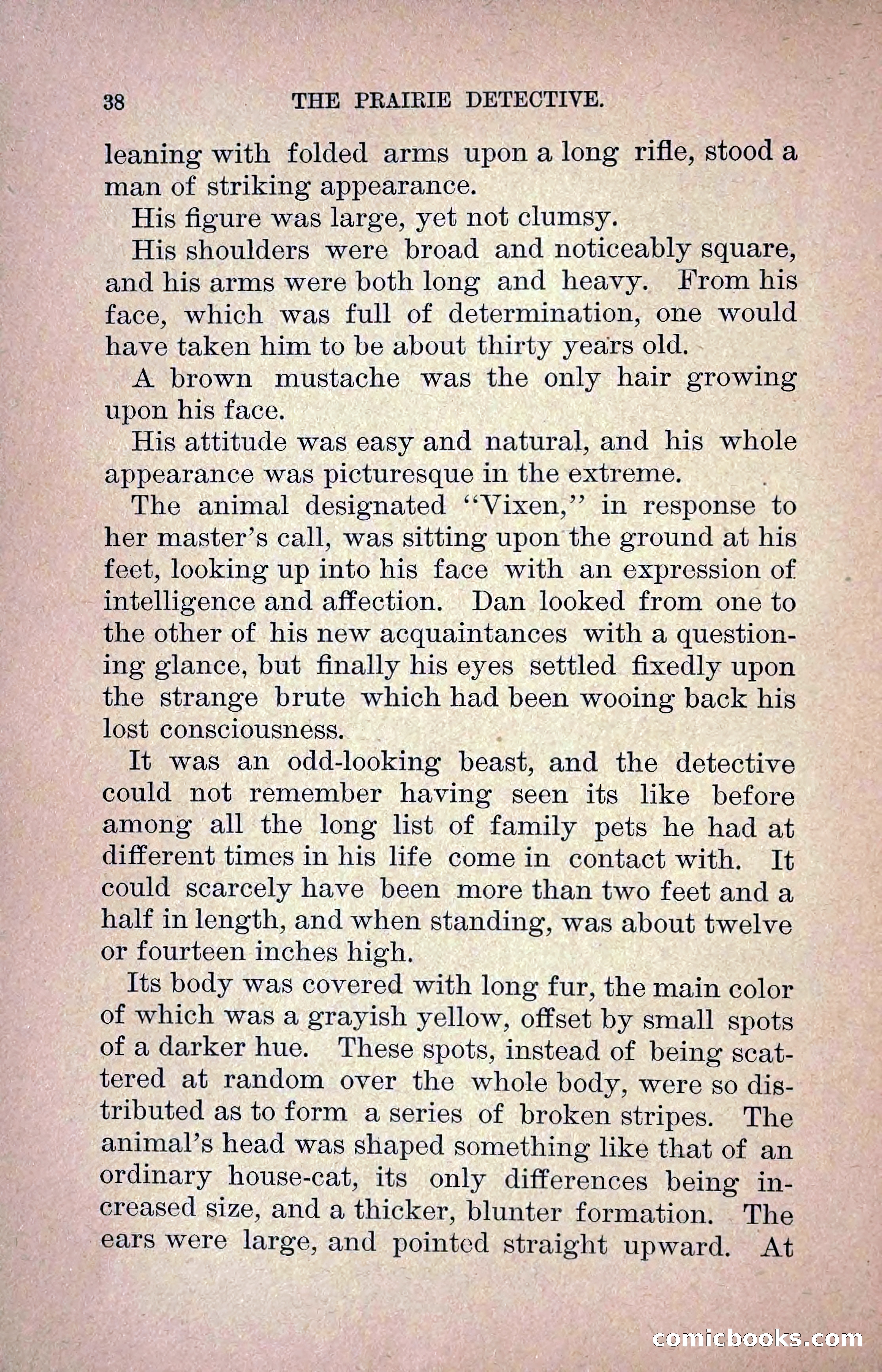 The Prairie Detective: Secret Service Series No. 24 — page 40 of 218