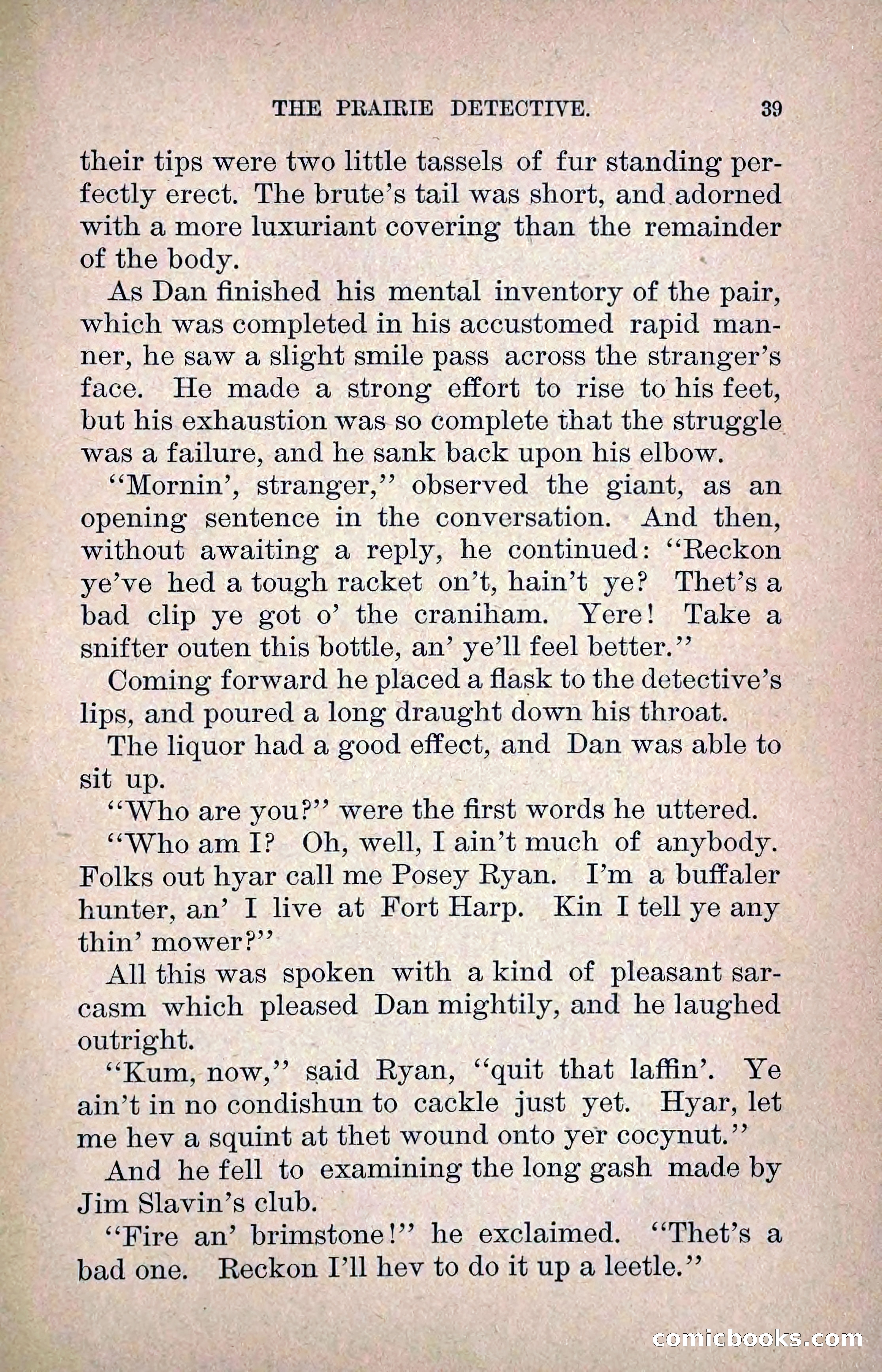 The Prairie Detective: Secret Service Series No. 24 — page 41 of 218