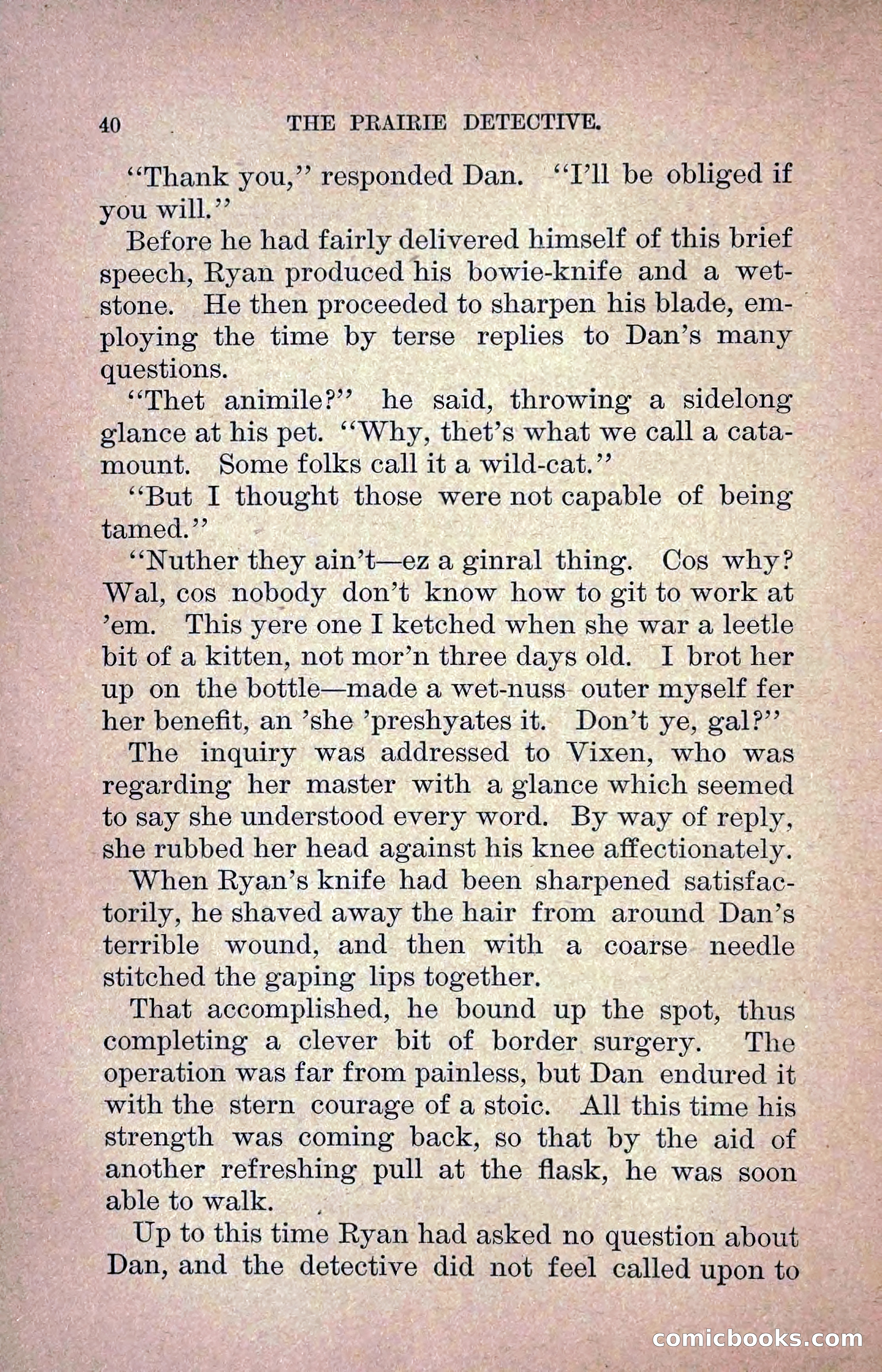 The Prairie Detective: Secret Service Series No. 24 — page 42 of 218