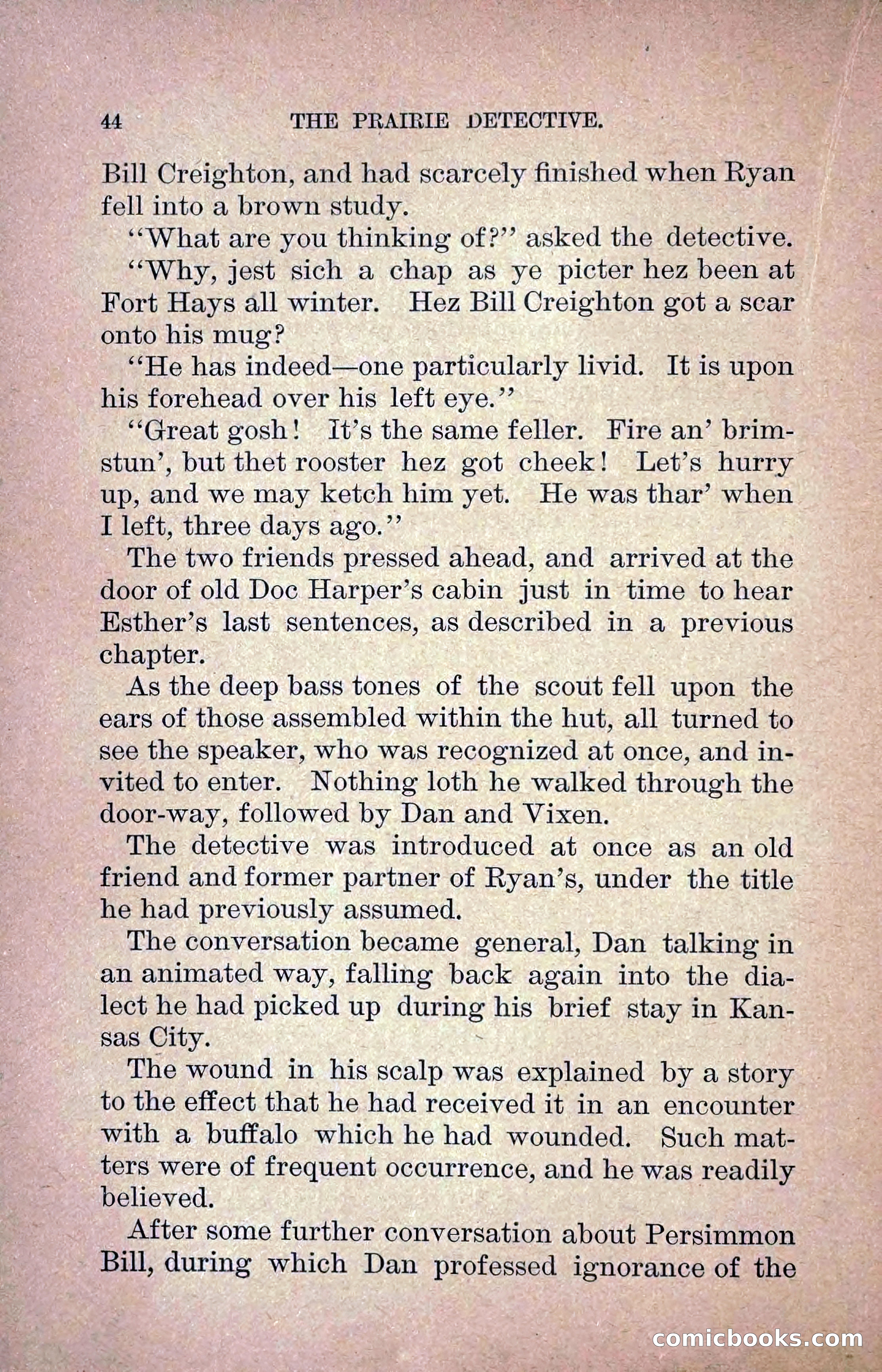 The Prairie Detective: Secret Service Series No. 24 — page 46 of 218