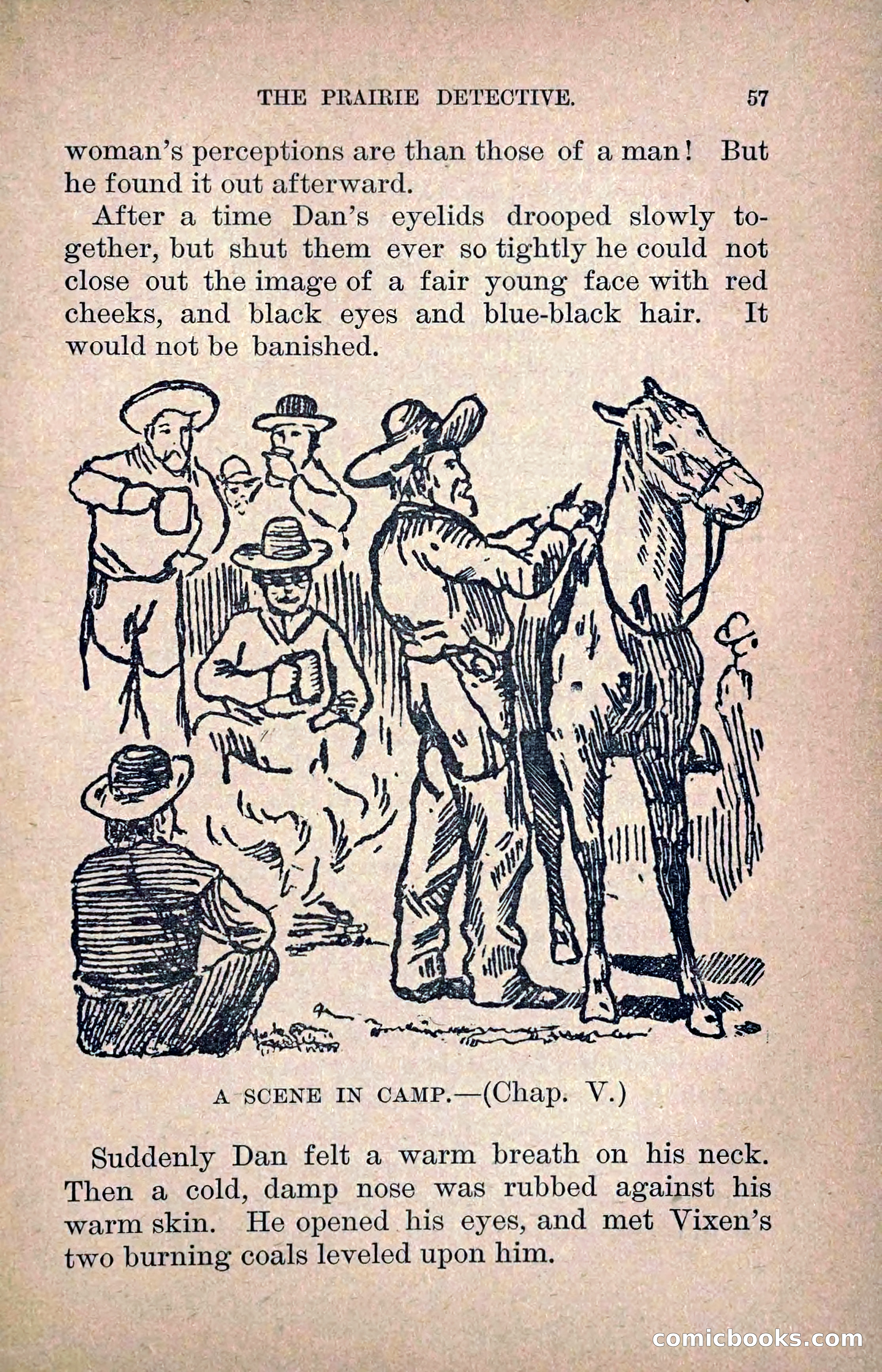 The Prairie Detective: Secret Service Series No. 24 — page 59 of 218