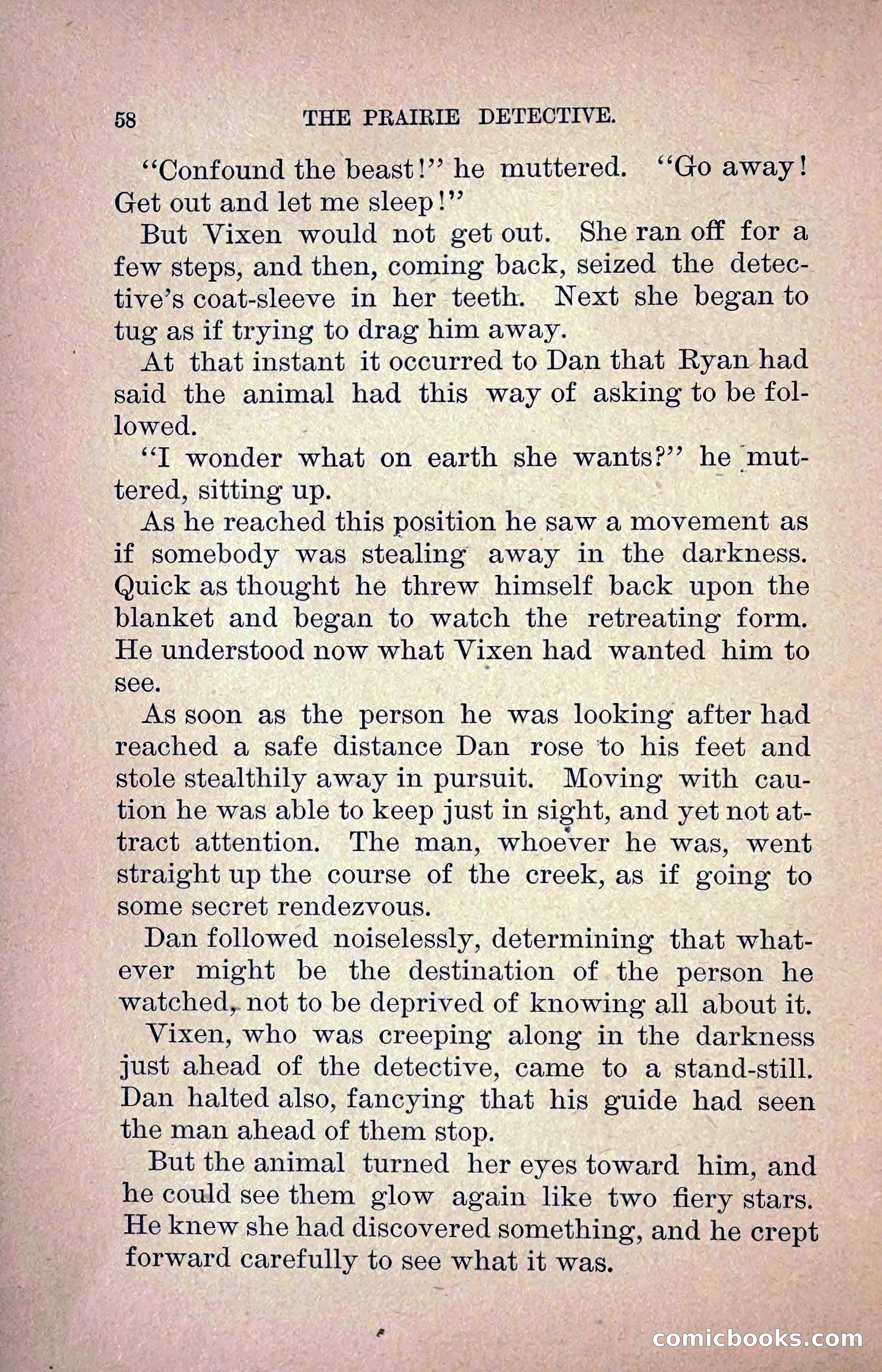 The Prairie Detective: Secret Service Series No. 24 — page 60 of 218