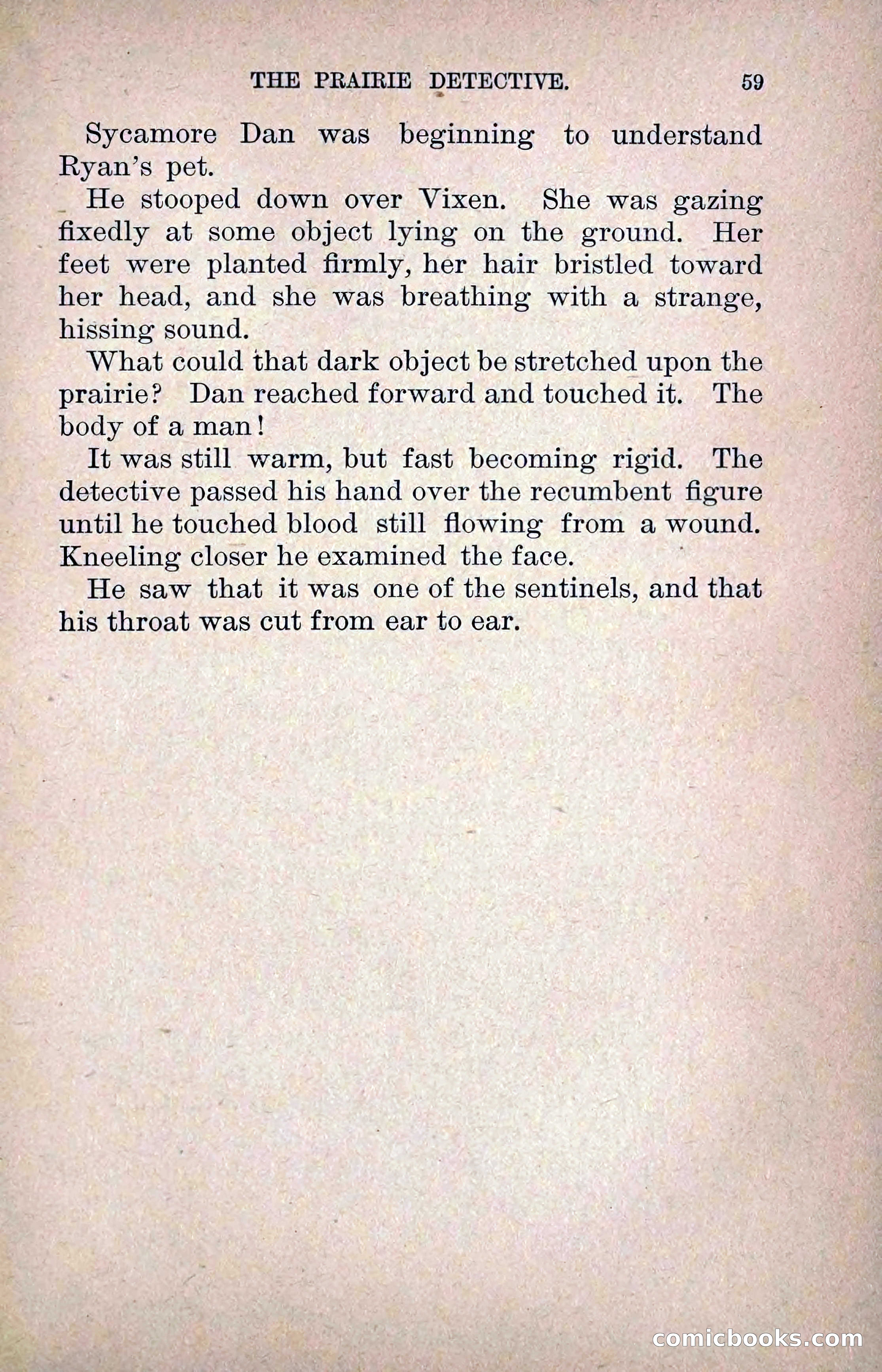 The Prairie Detective: Secret Service Series No. 24 — page 61 of 218