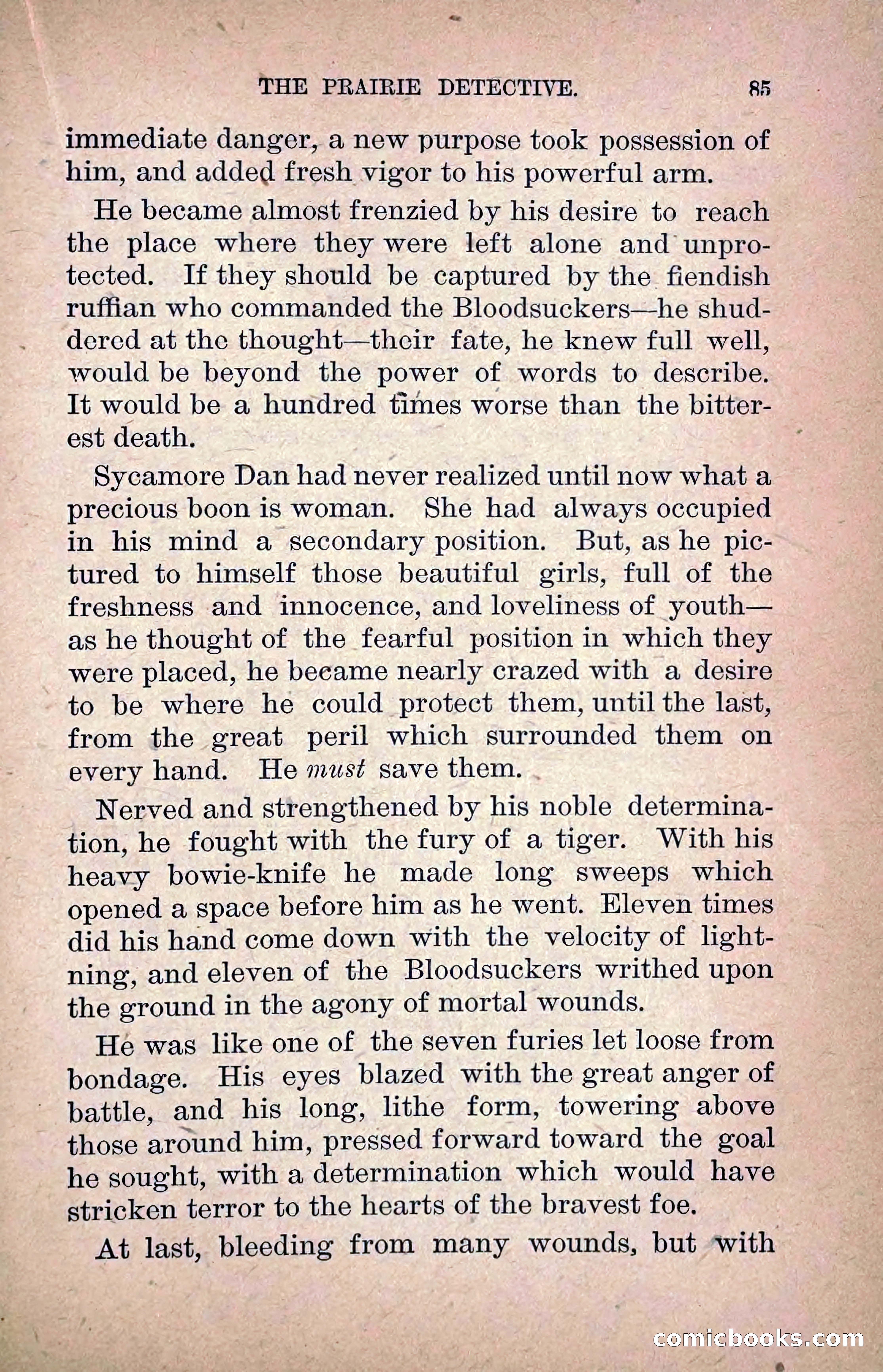 The Prairie Detective: Secret Service Series No. 24 — page 87 of 218