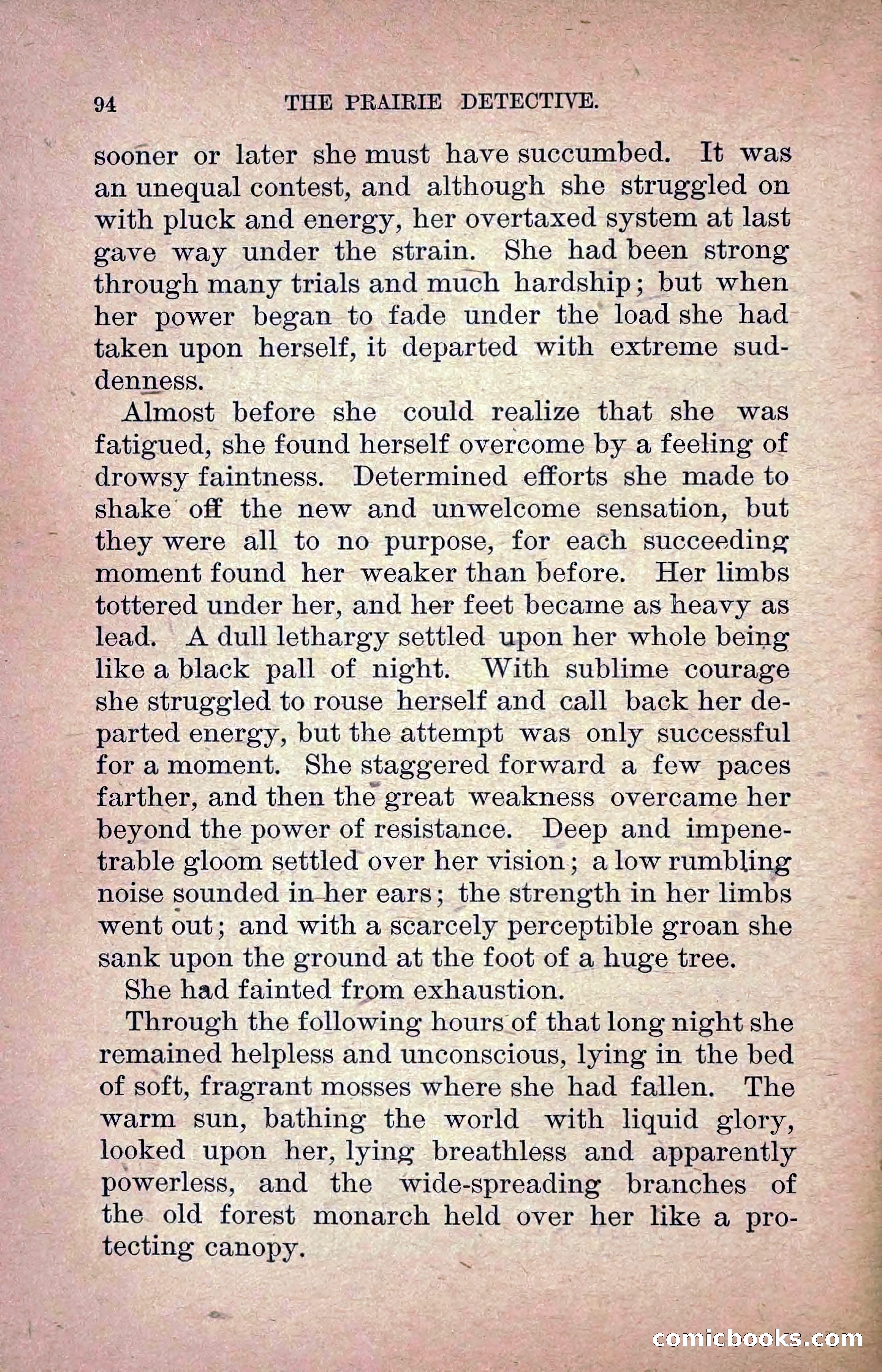 The Prairie Detective: Secret Service Series No. 24 — page 96 of 218