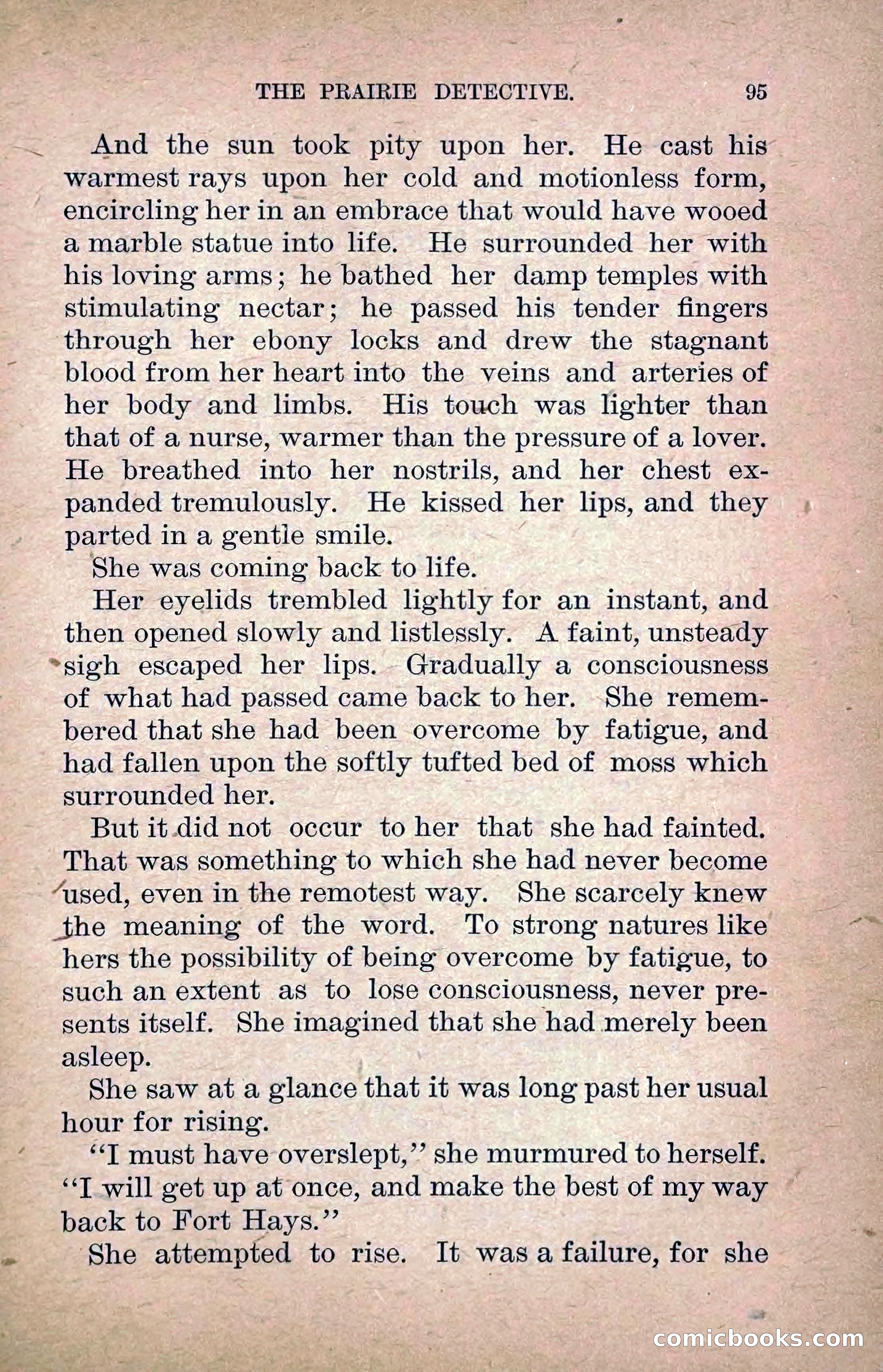The Prairie Detective: Secret Service Series No. 24 — page 97 of 218