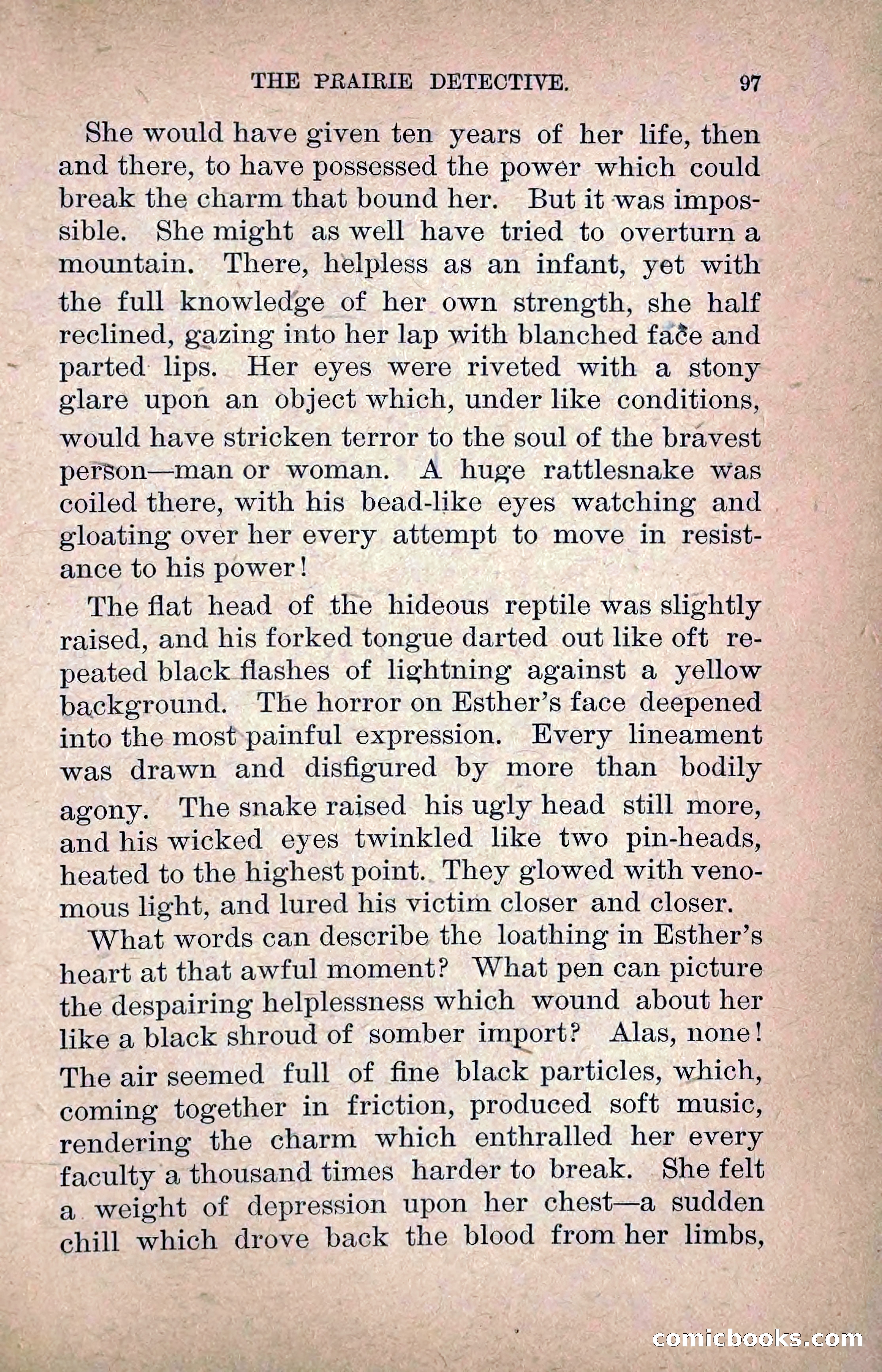 The Prairie Detective: Secret Service Series No. 24 — page 99 of 218