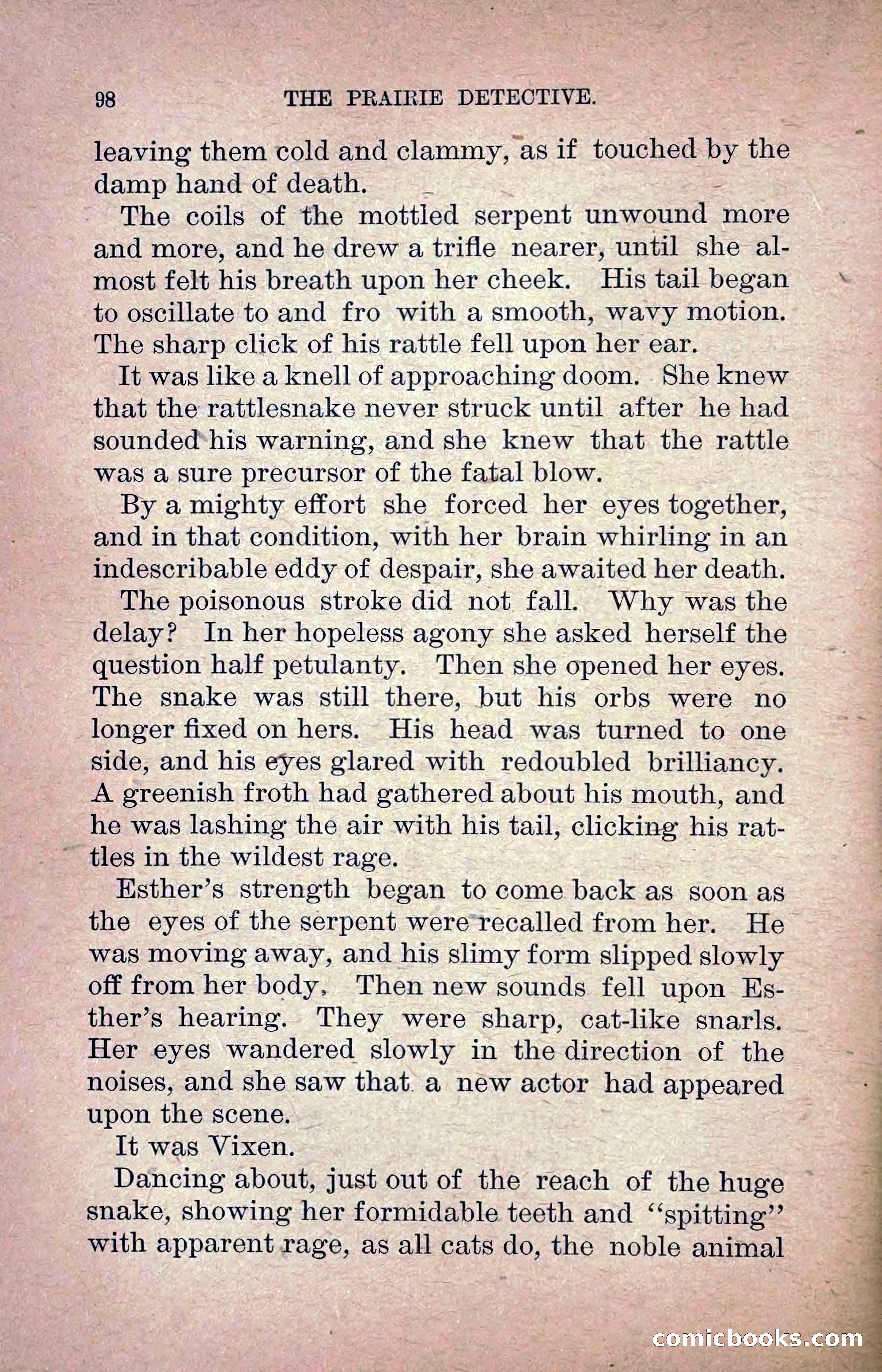 The Prairie Detective: Secret Service Series No. 24 — page 100 of 218