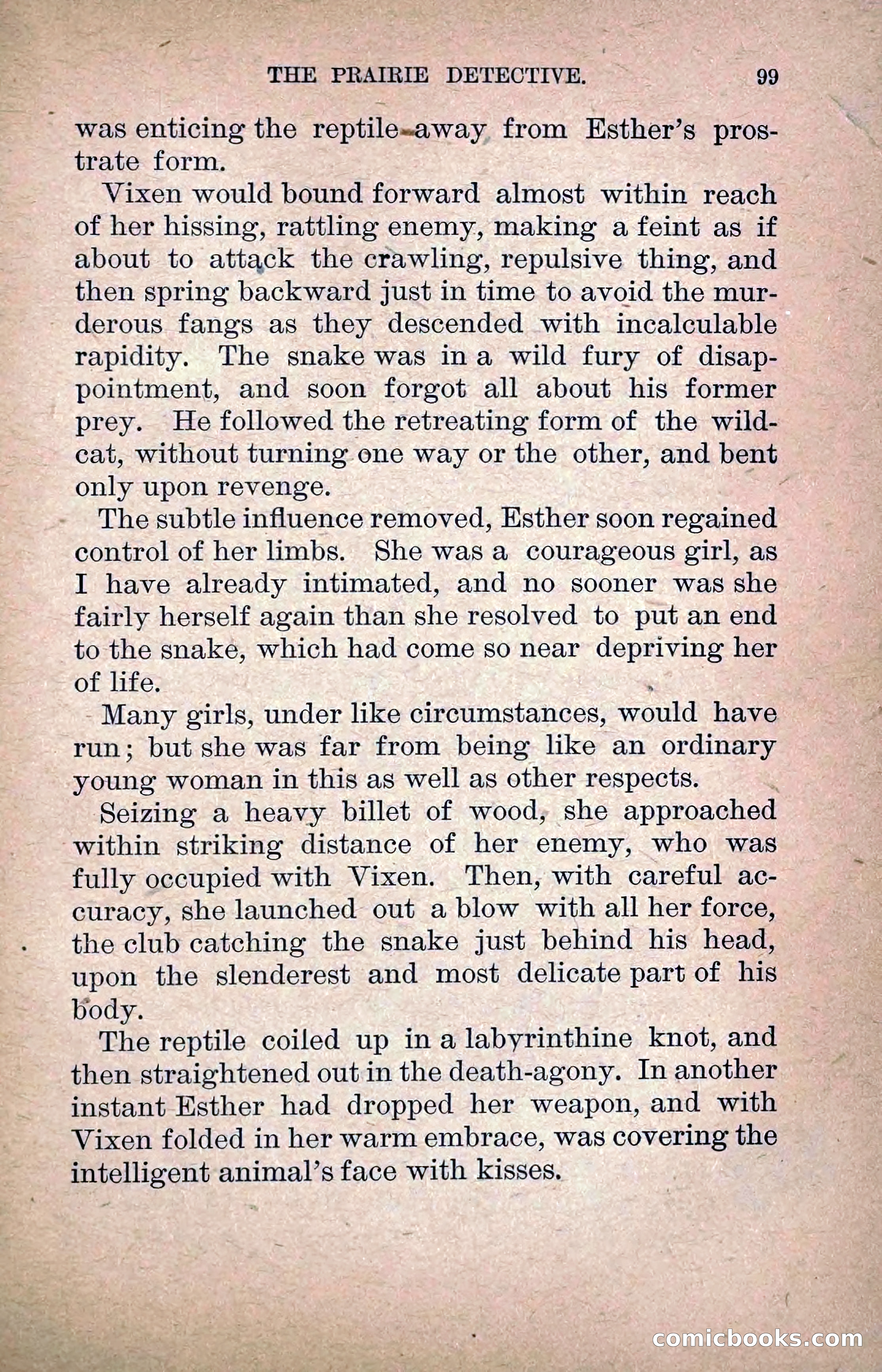 The Prairie Detective: Secret Service Series No. 24 — page 101 of 218
