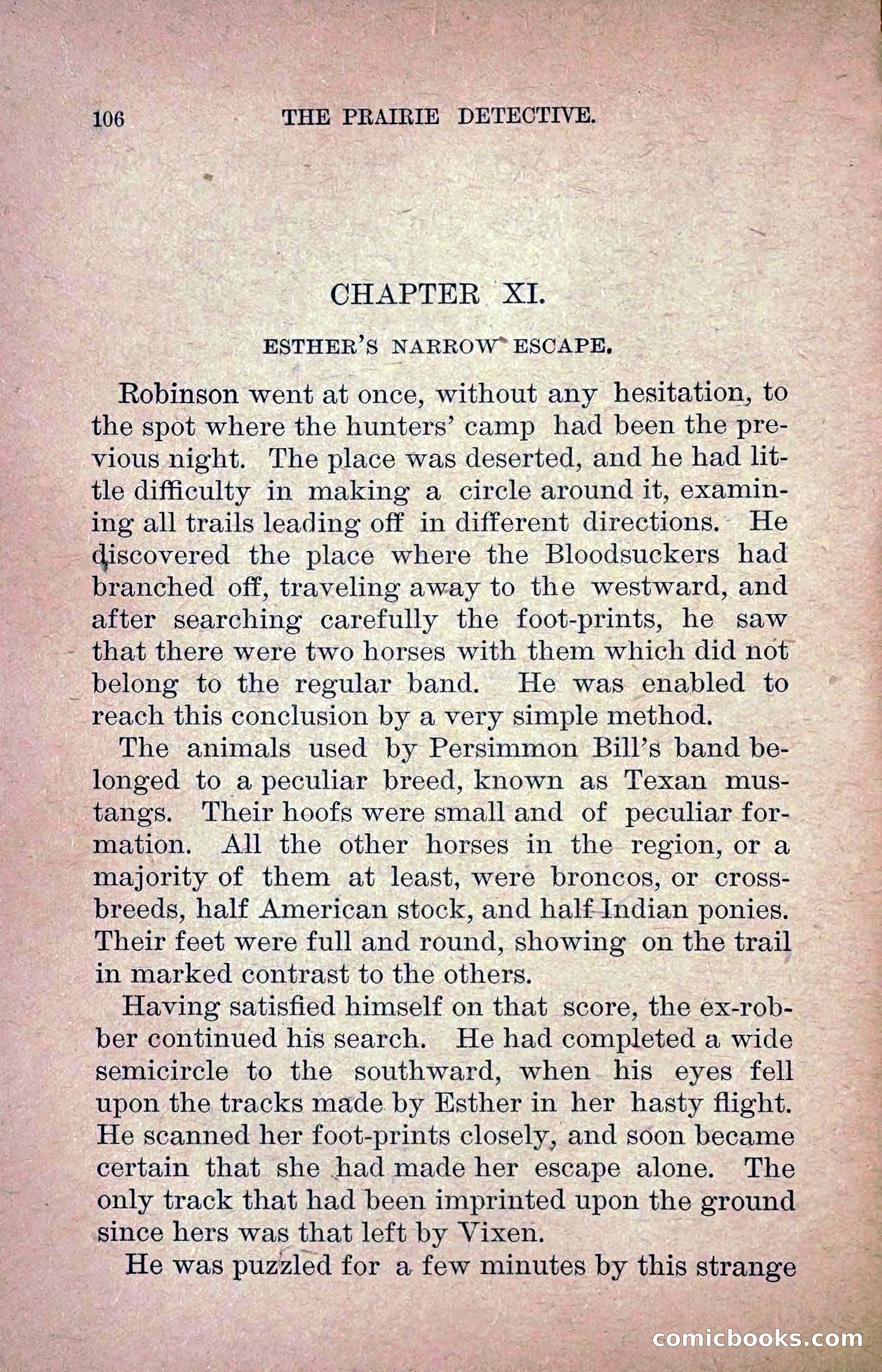 The Prairie Detective: Secret Service Series No. 24 — page 108 of 218