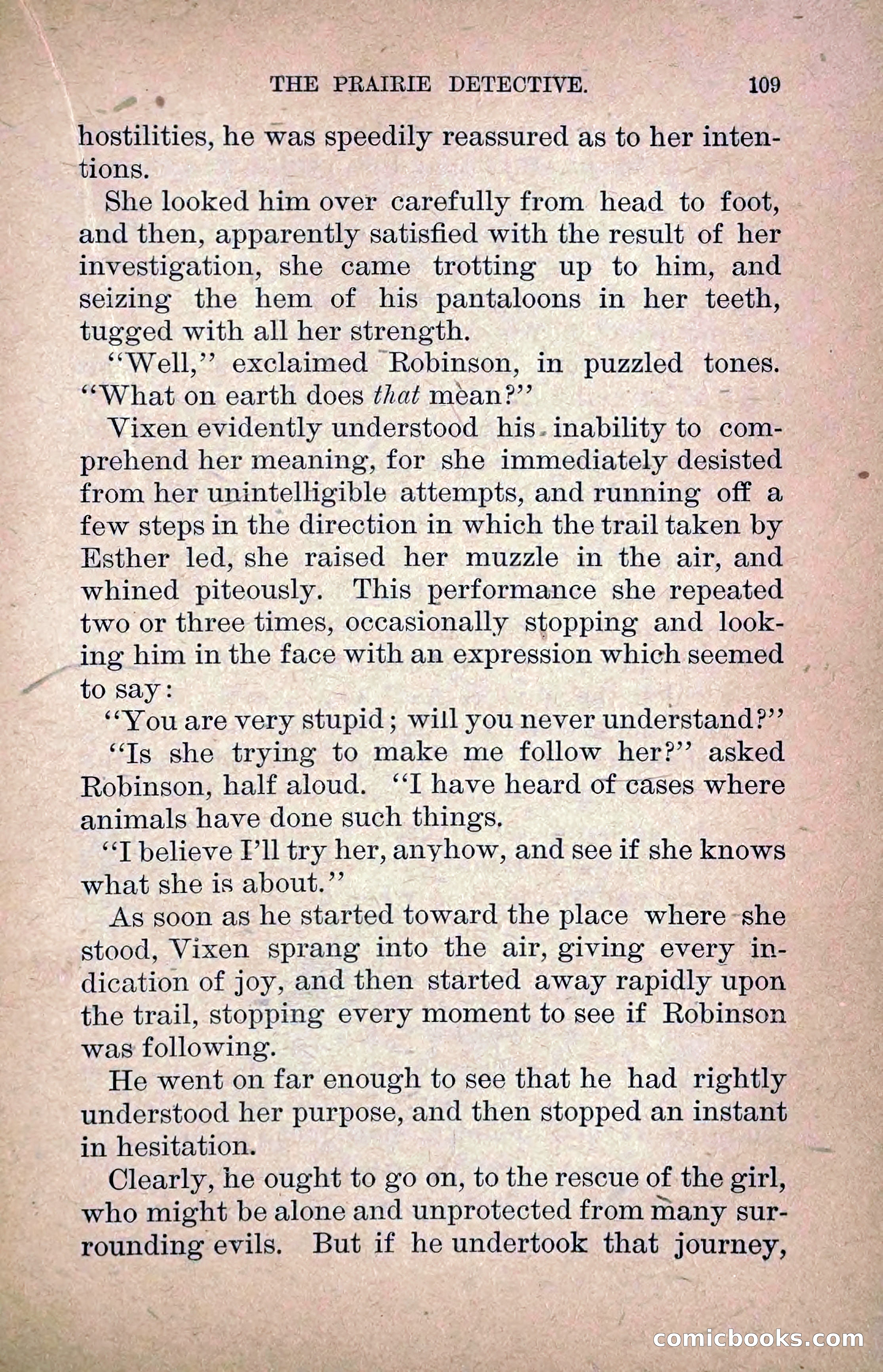 The Prairie Detective: Secret Service Series No. 24 — page 111 of 218