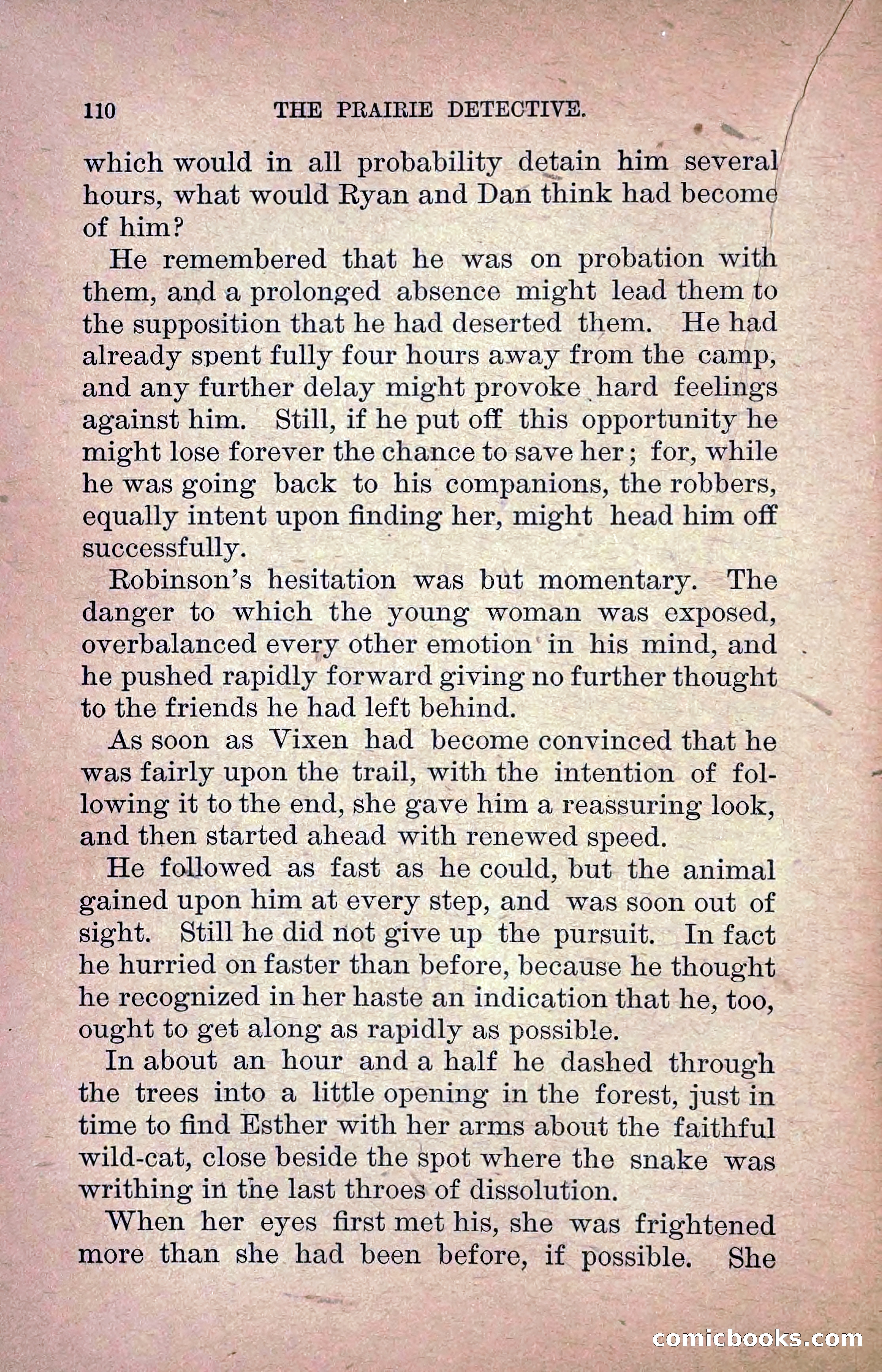 The Prairie Detective: Secret Service Series No. 24 — page 112 of 218