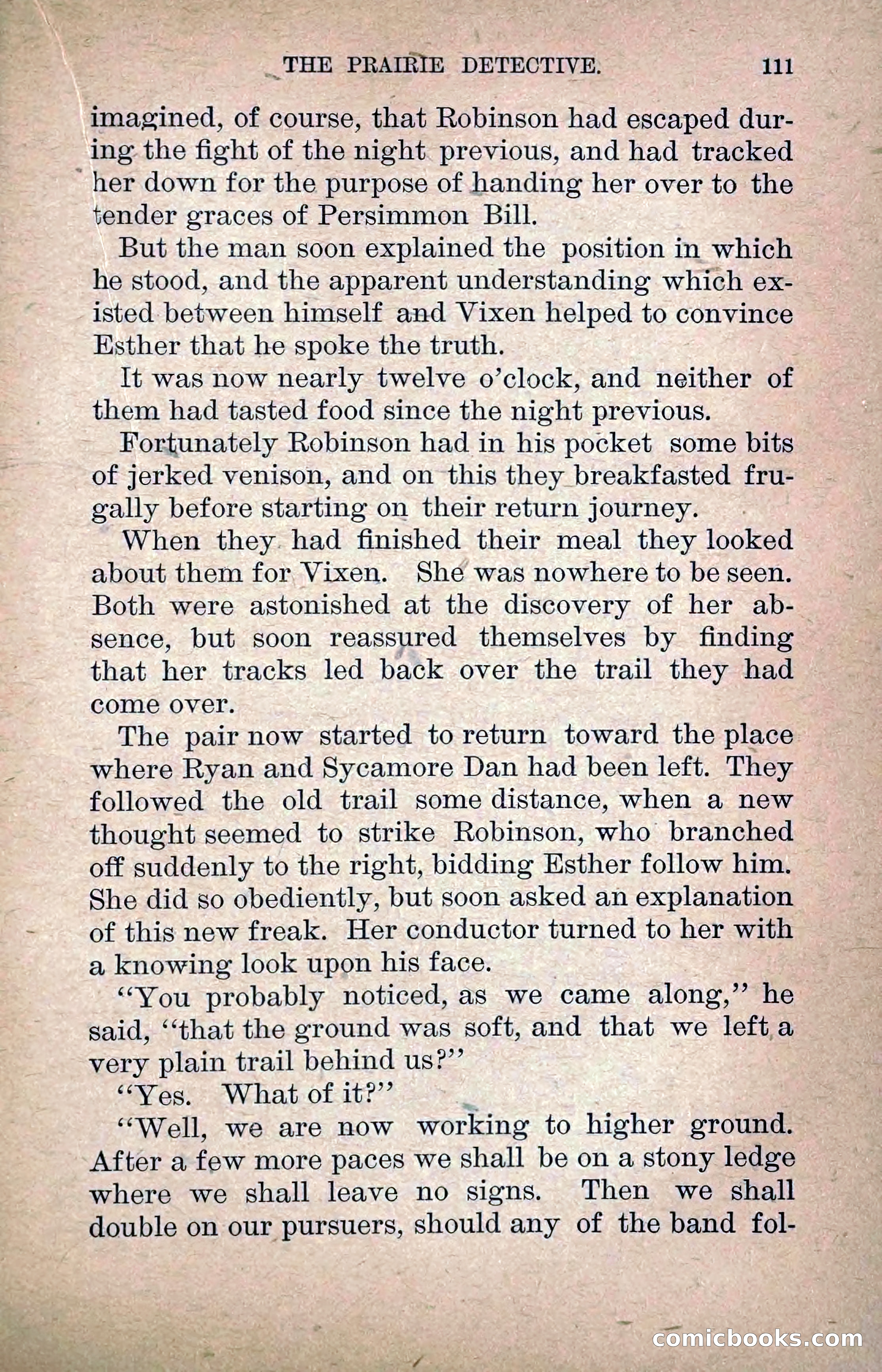 The Prairie Detective: Secret Service Series No. 24 — page 113 of 218
