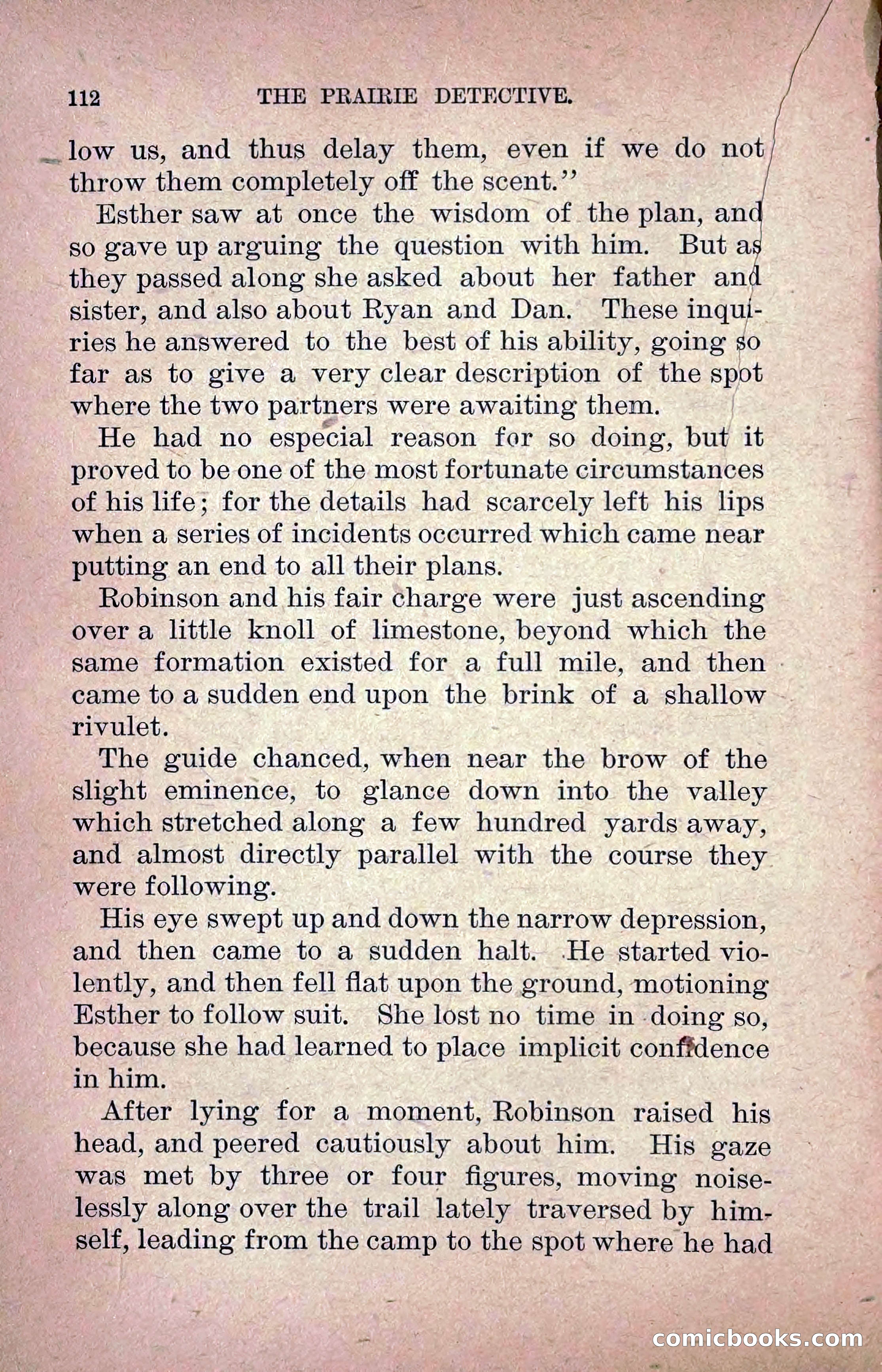 The Prairie Detective: Secret Service Series No. 24 — page 114 of 218