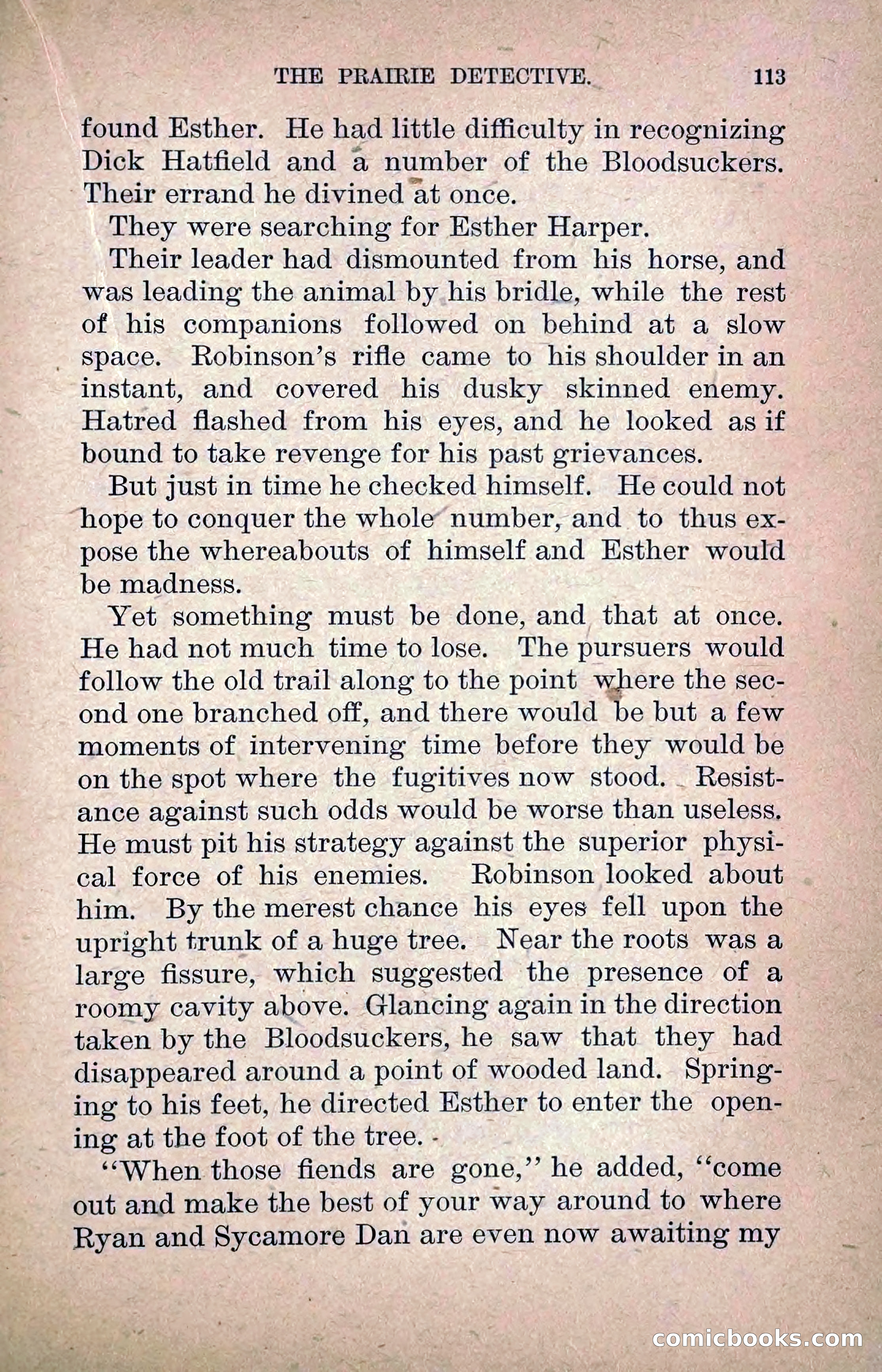 The Prairie Detective: Secret Service Series No. 24 — page 115 of 218