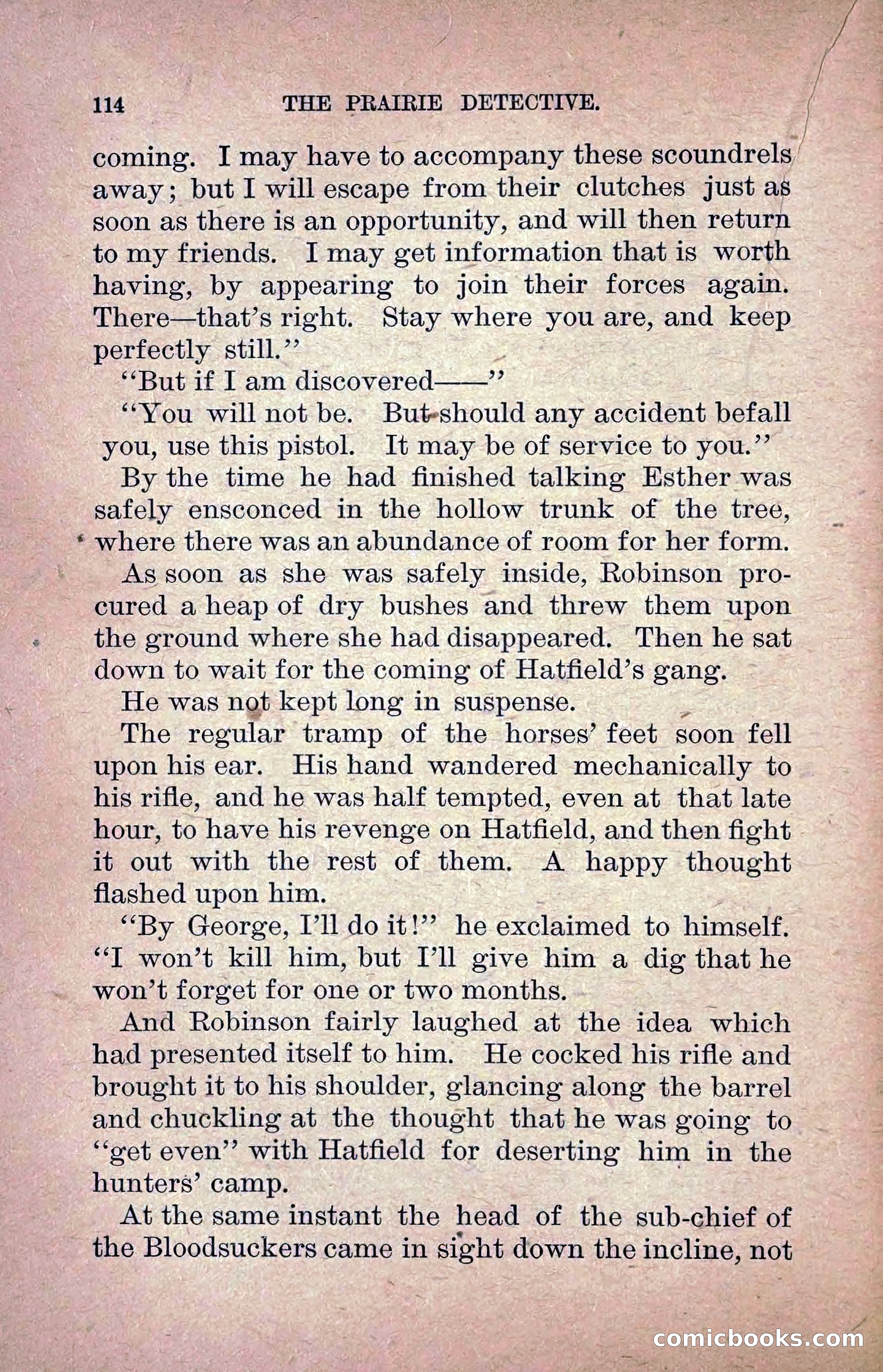 The Prairie Detective: Secret Service Series No. 24 — page 116 of 218