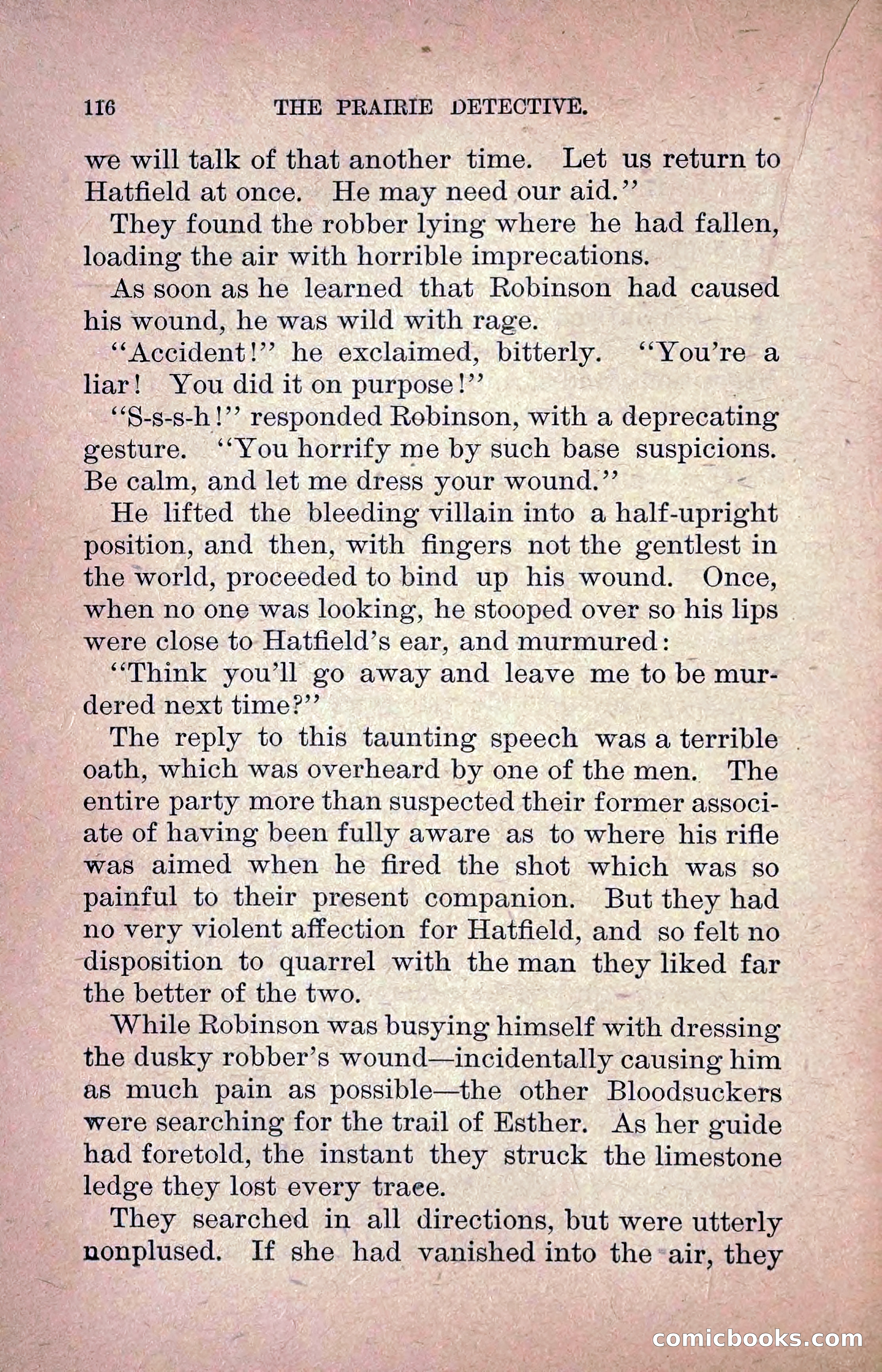 The Prairie Detective: Secret Service Series No. 24 — page 118 of 218