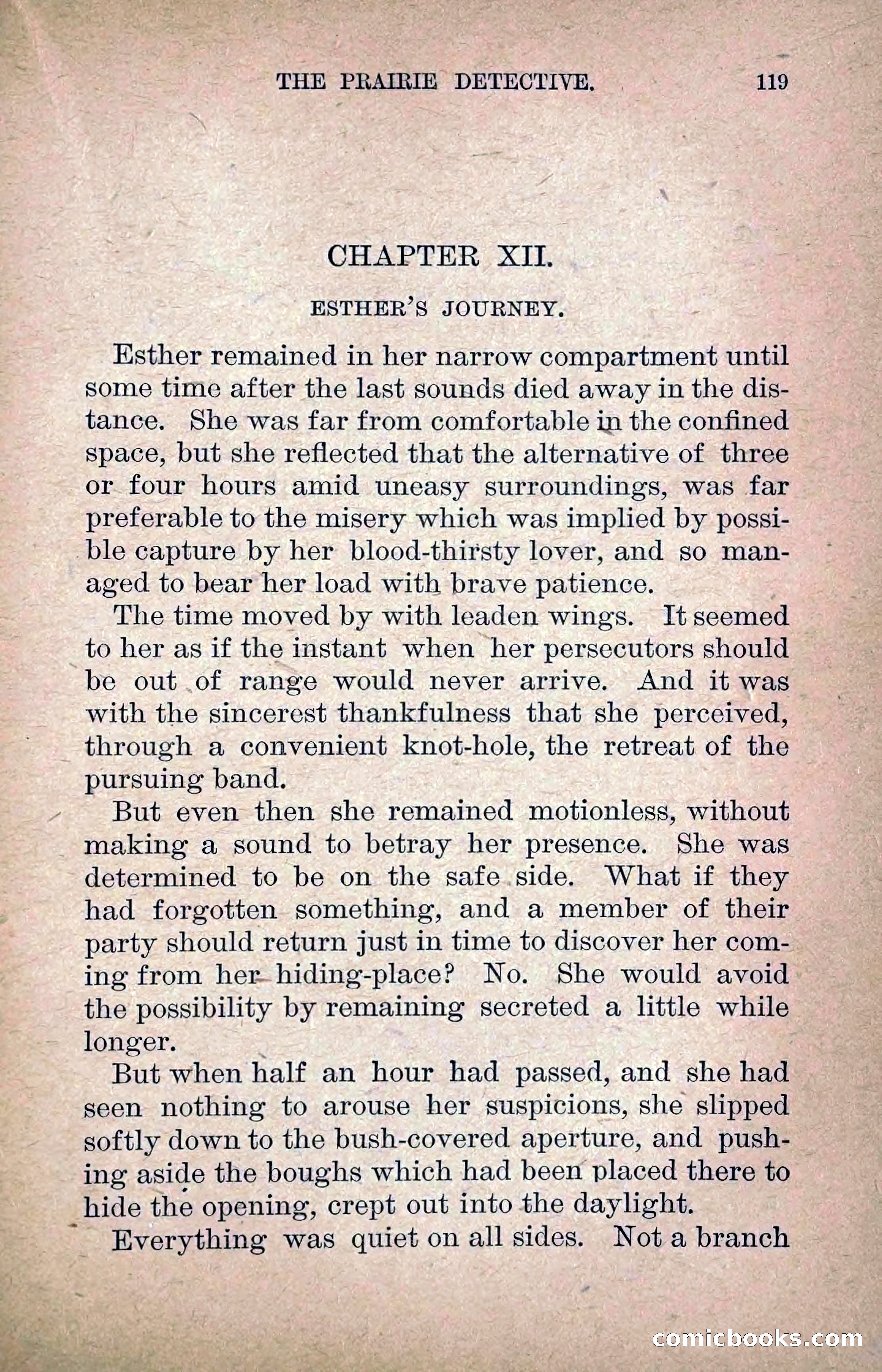 The Prairie Detective: Secret Service Series No. 24 — page 121 of 218