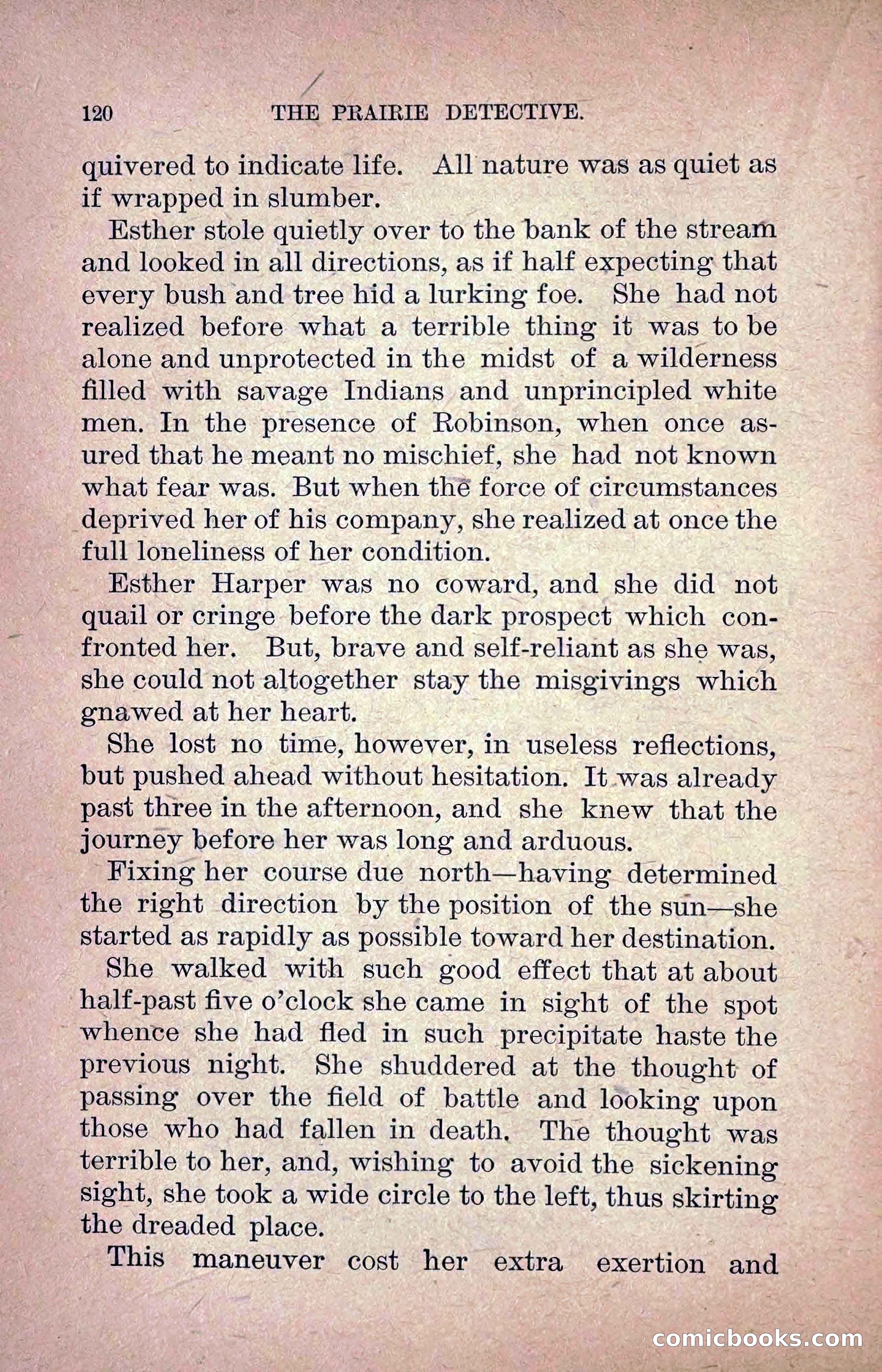 The Prairie Detective: Secret Service Series No. 24 — page 122 of 218