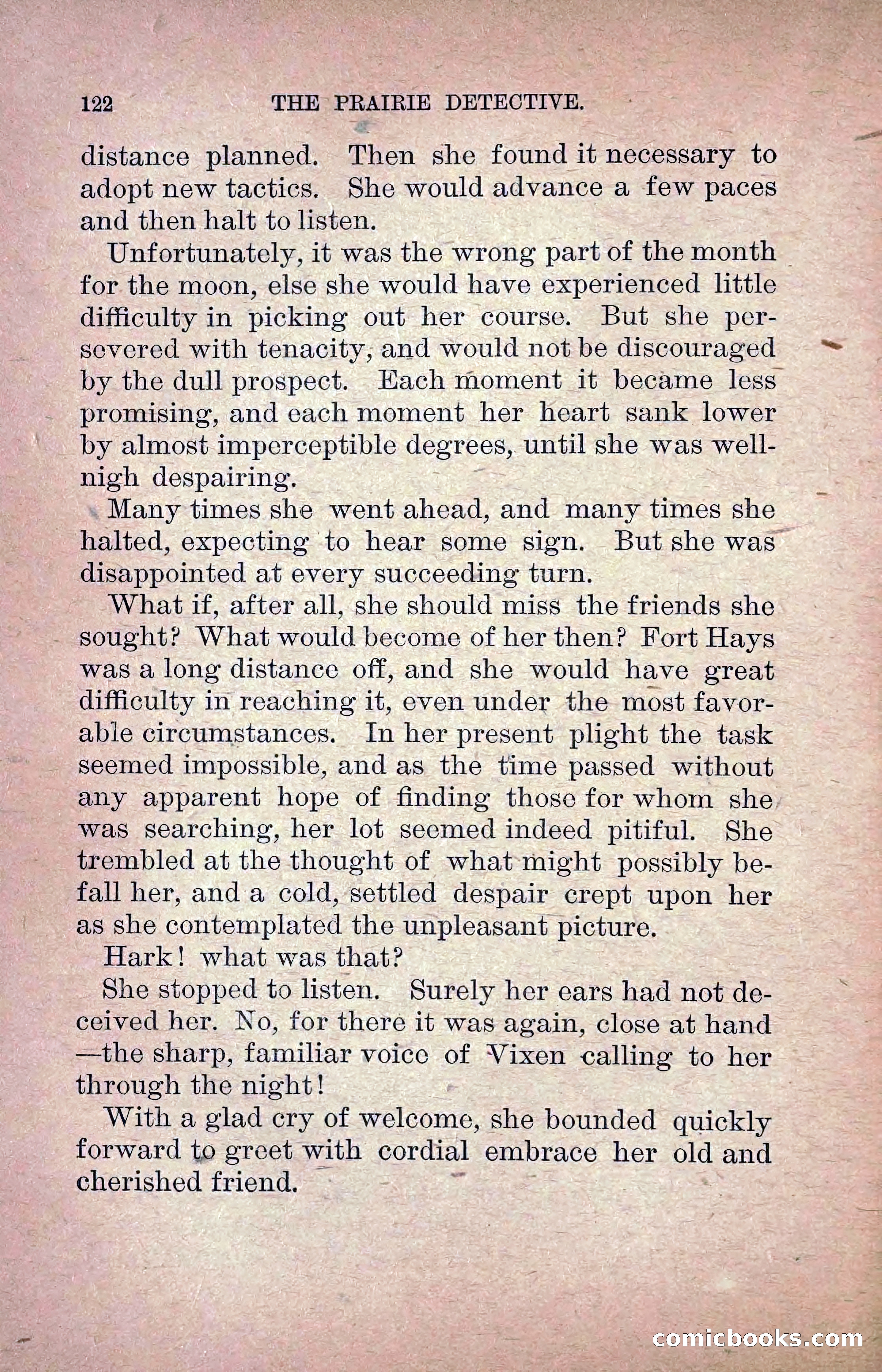 The Prairie Detective: Secret Service Series No. 24 — page 124 of 218