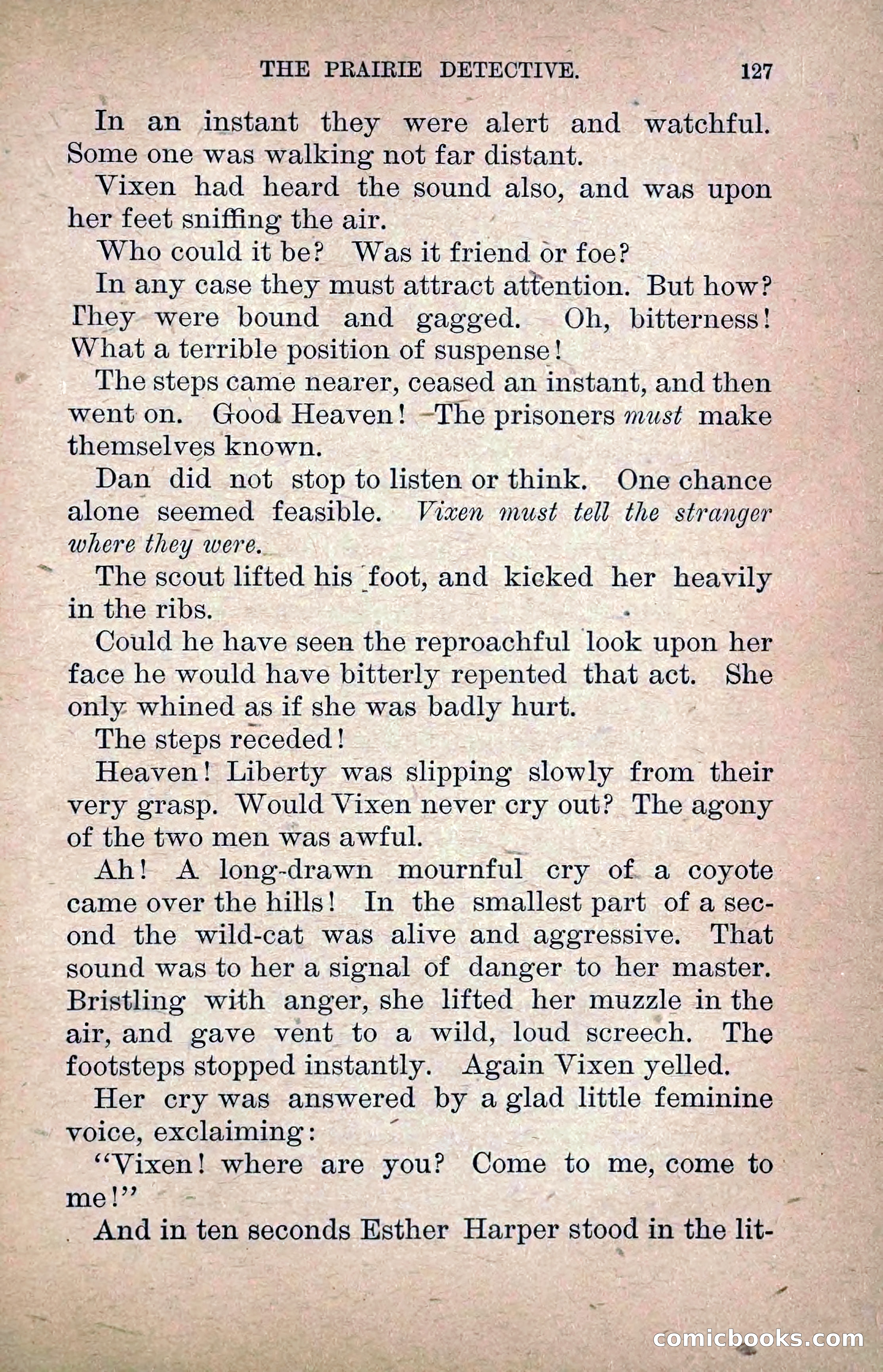 The Prairie Detective: Secret Service Series No. 24 — page 129 of 218