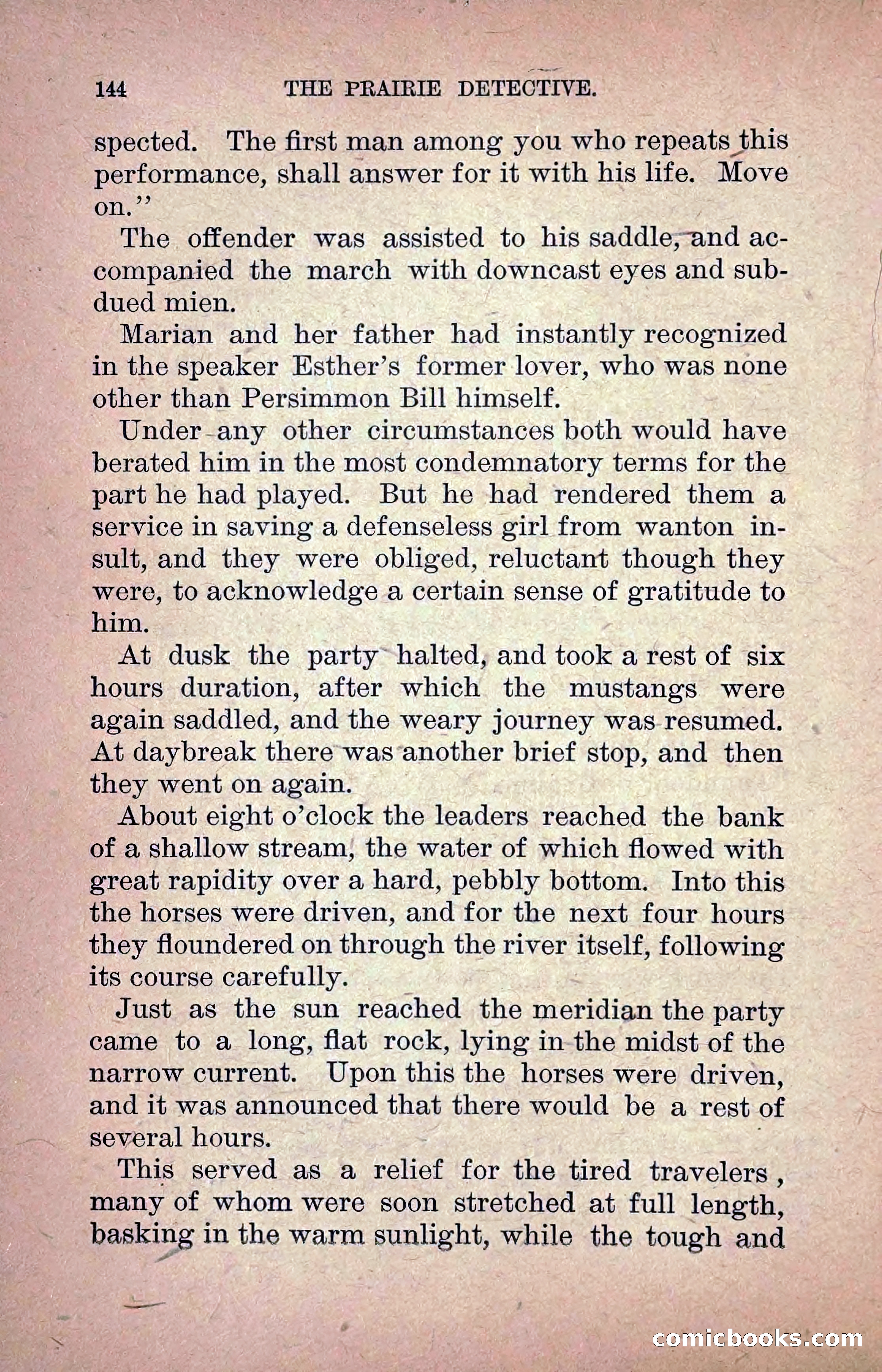 The Prairie Detective: Secret Service Series No. 24 — page 146 of 218