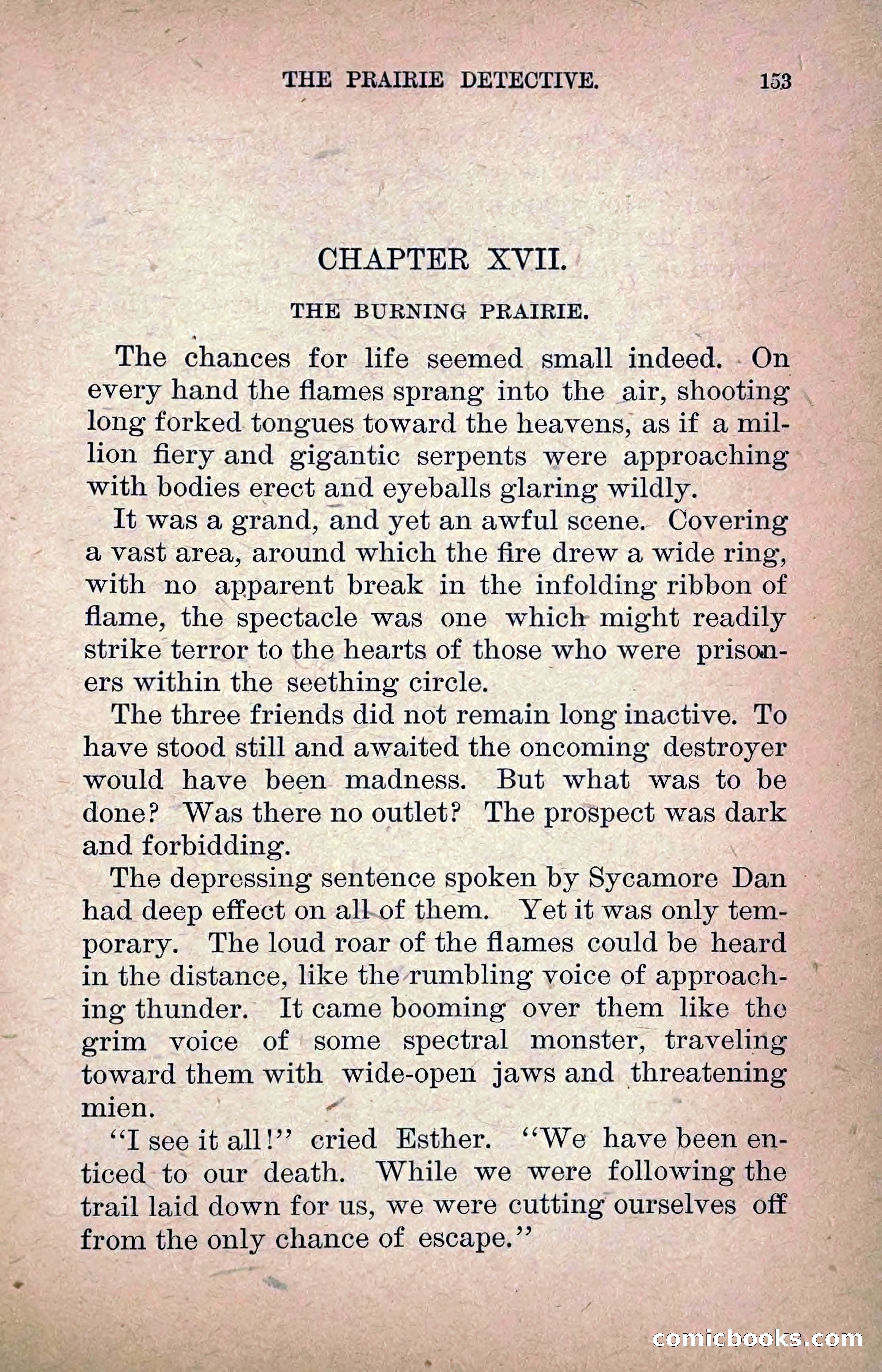 The Prairie Detective: Secret Service Series No. 24 — page 155 of 218