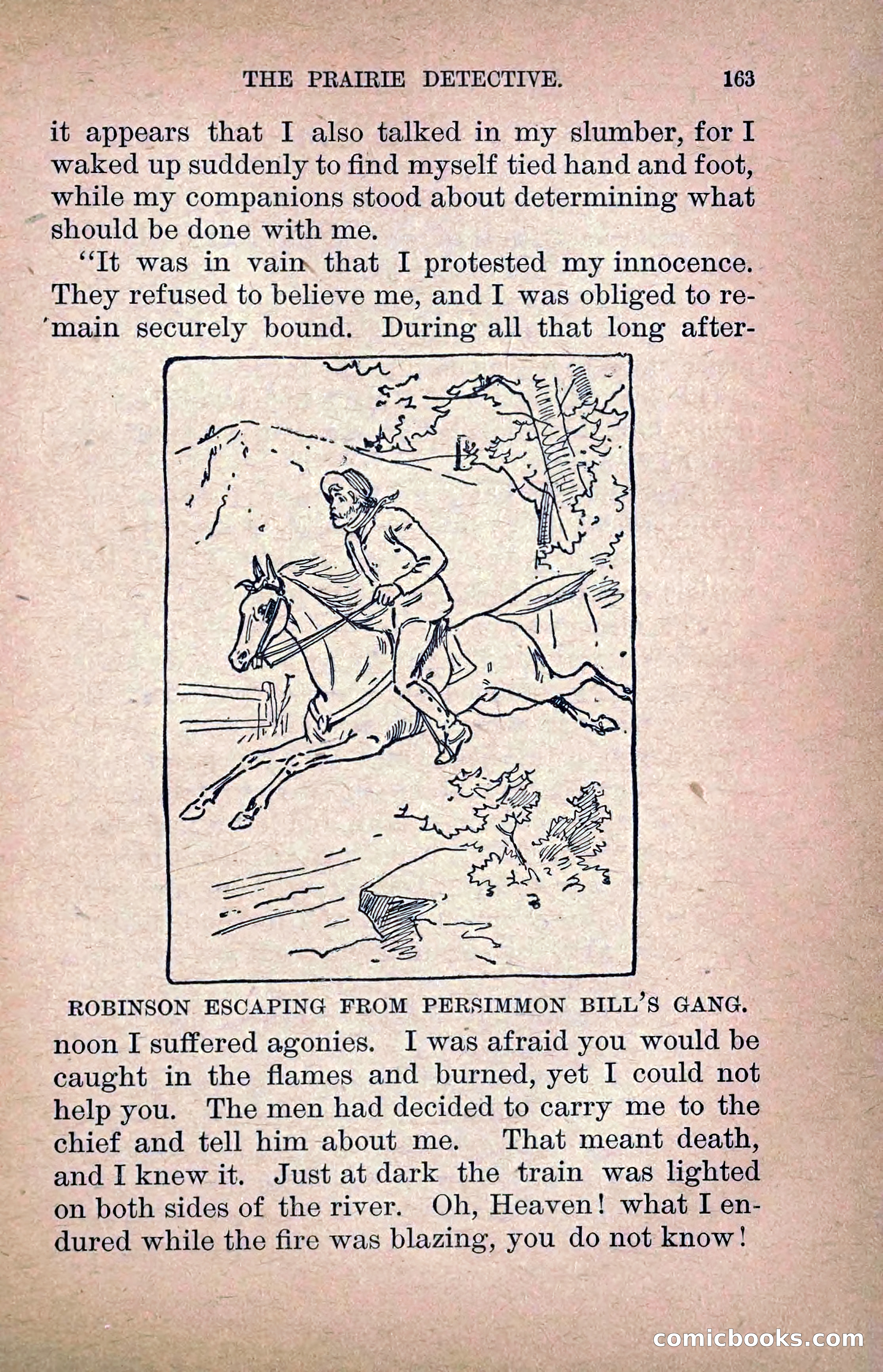 The Prairie Detective: Secret Service Series No. 24 — page 165 of 218