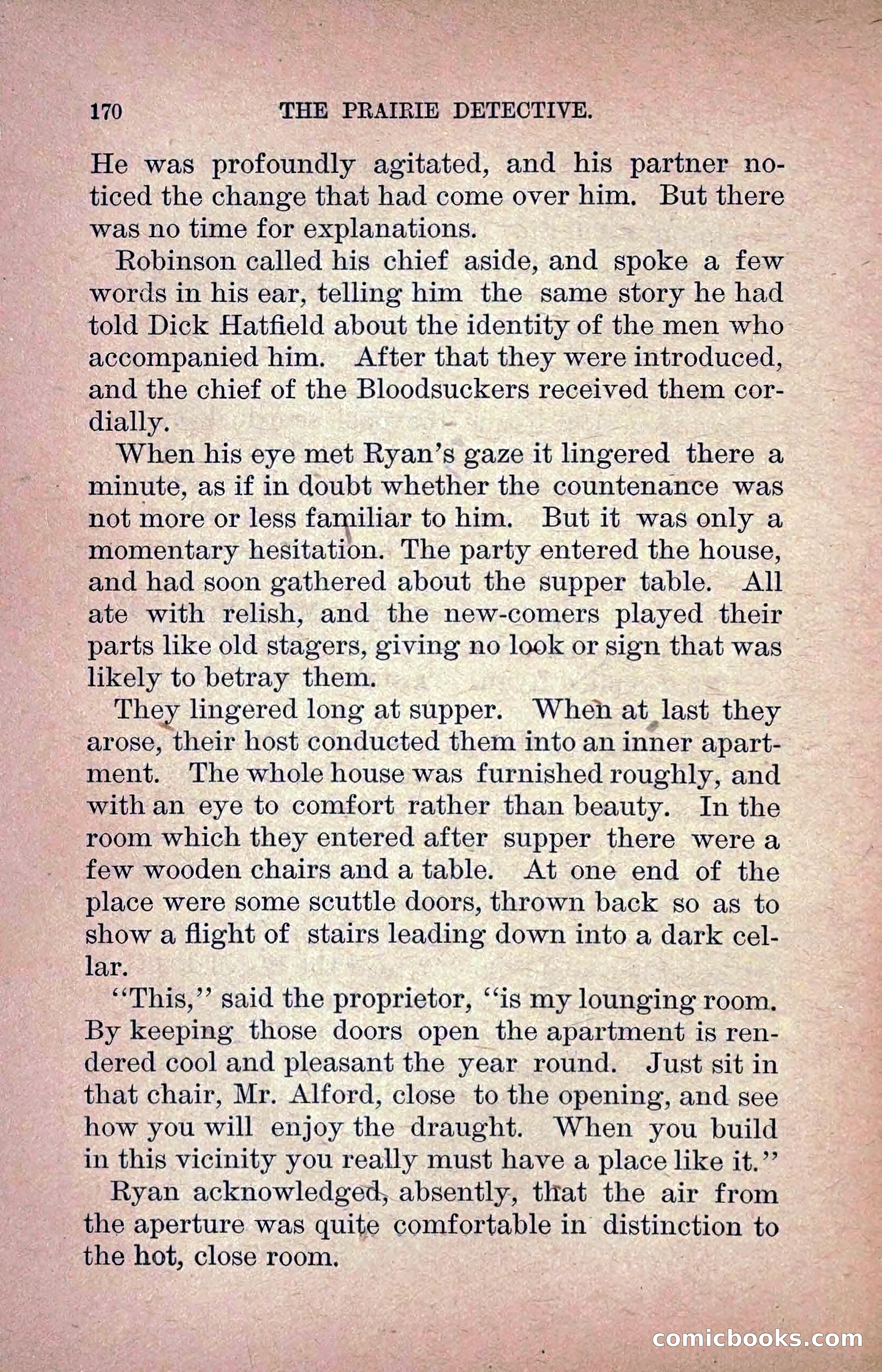 The Prairie Detective: Secret Service Series No. 24 — page 172 of 218