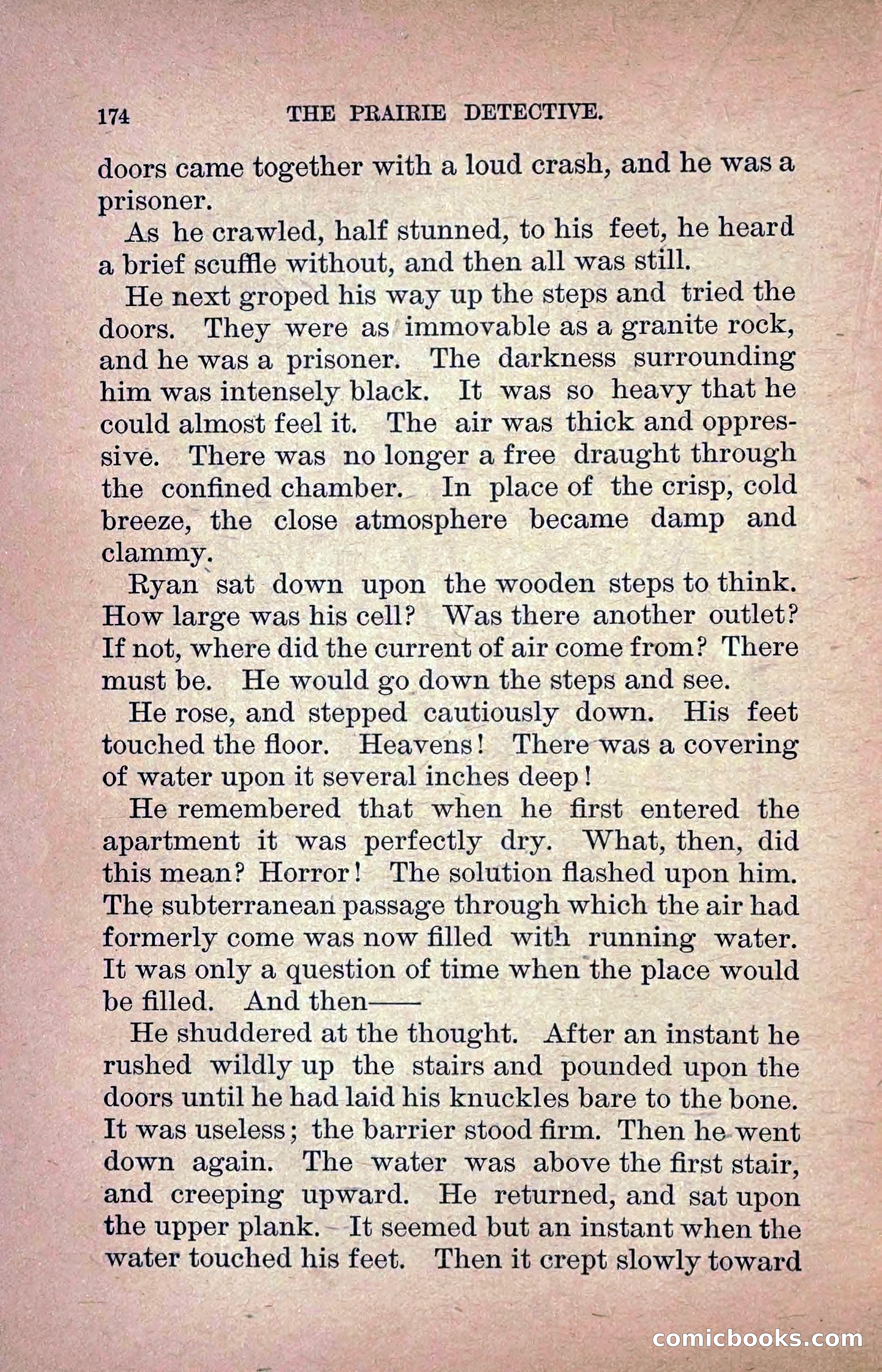 The Prairie Detective: Secret Service Series No. 24 — page 176 of 218