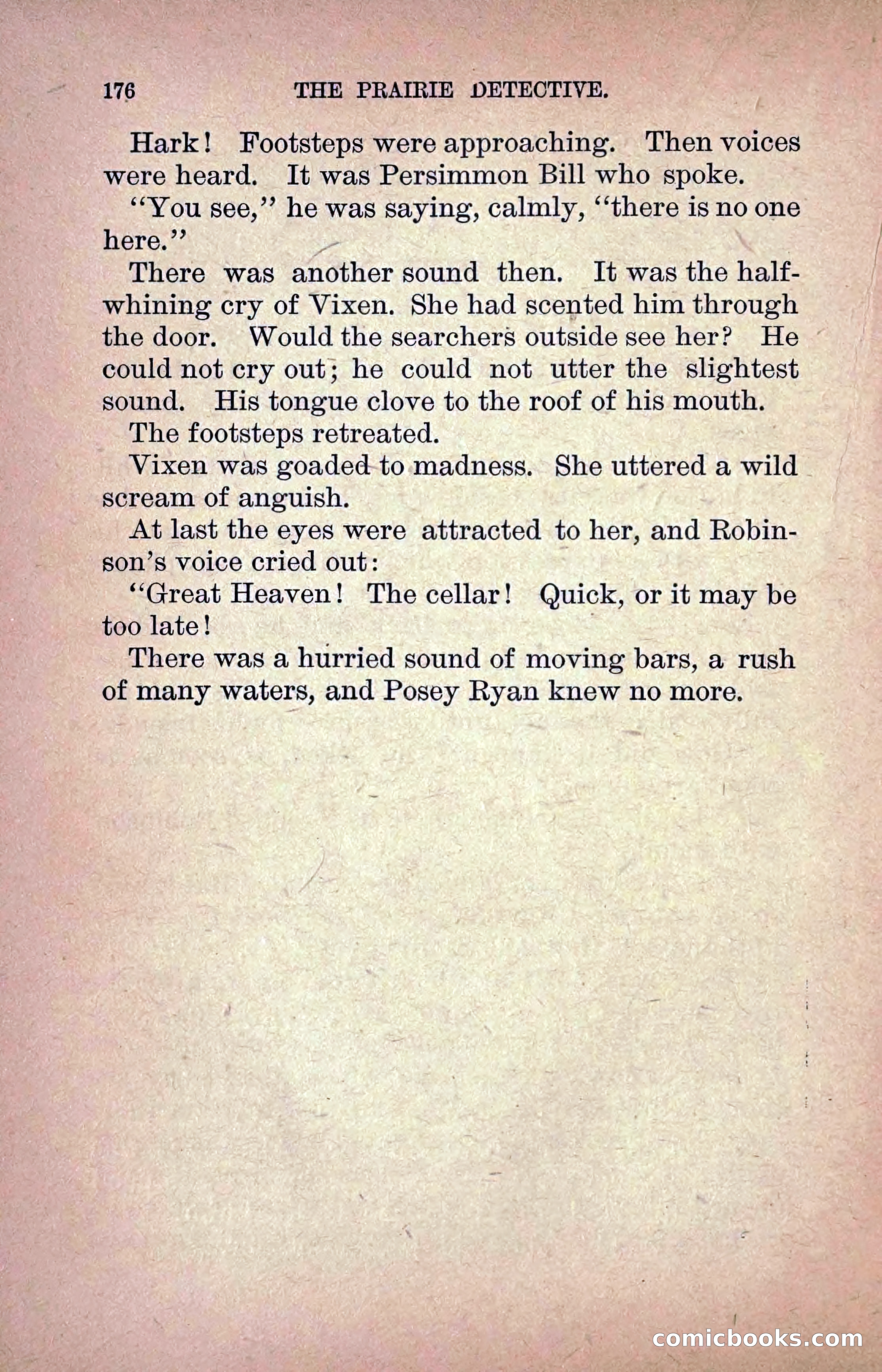 The Prairie Detective: Secret Service Series No. 24 — page 178 of 218
