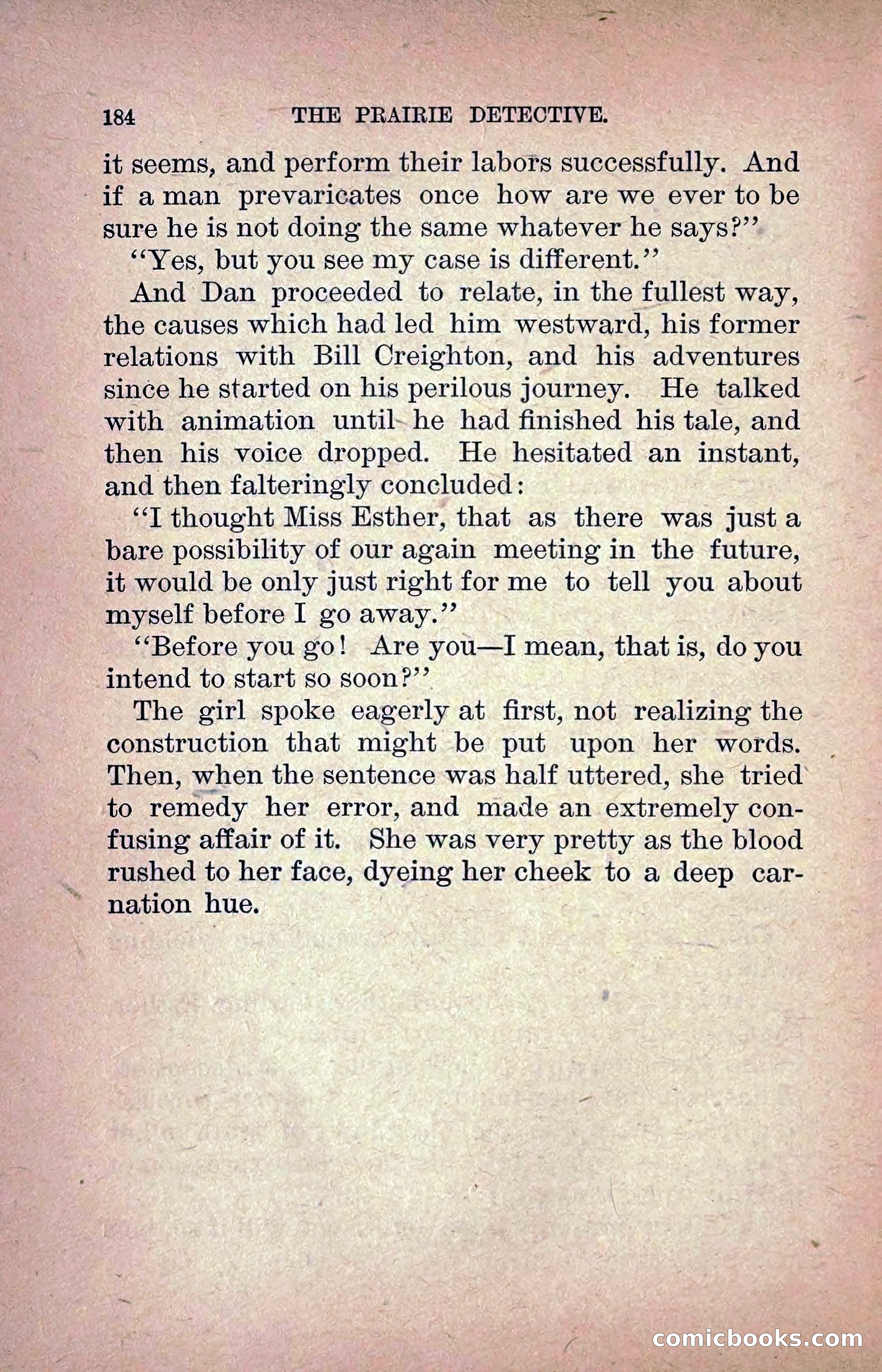 The Prairie Detective: Secret Service Series No. 24 — page 186 of 218