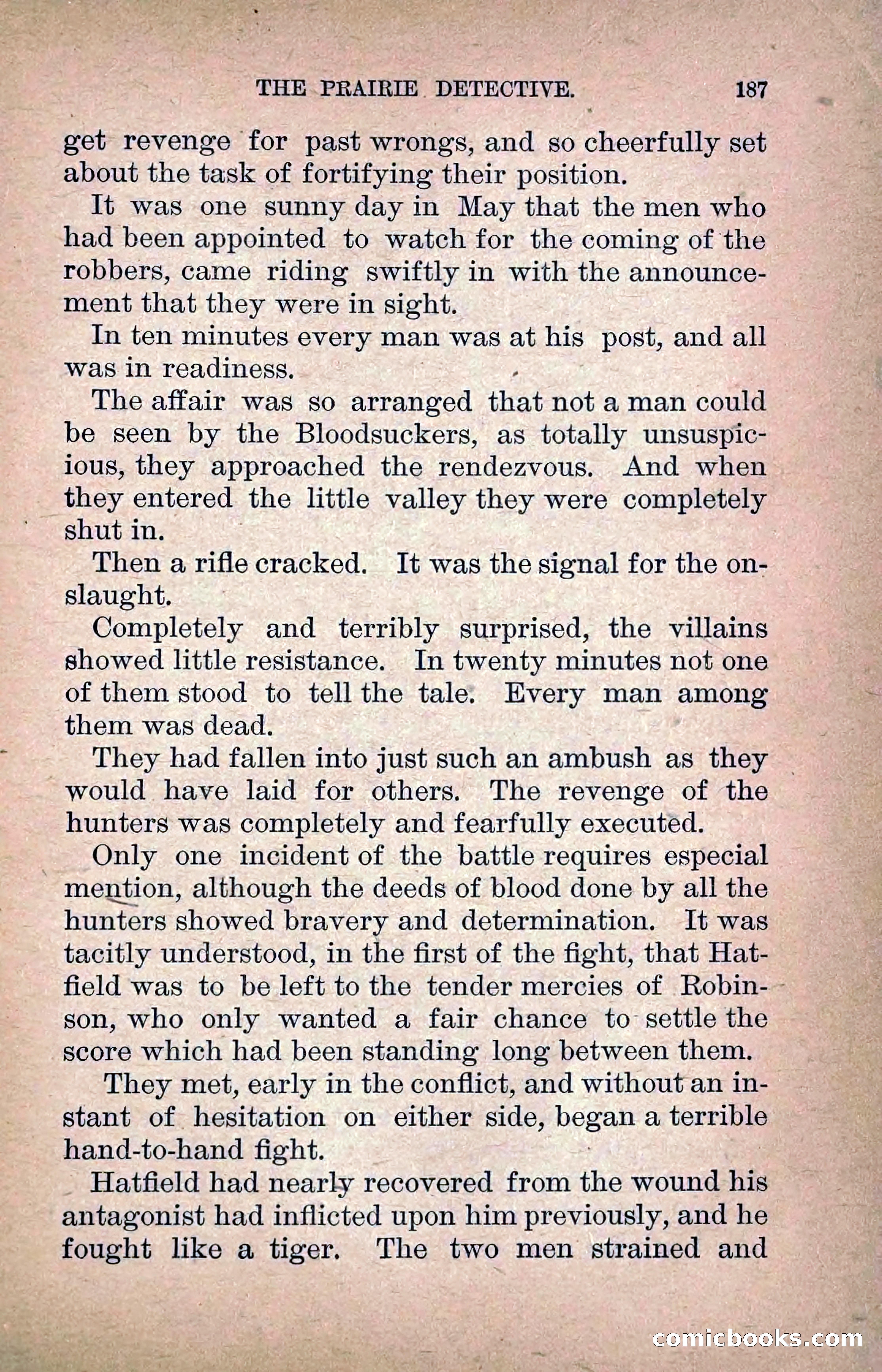 The Prairie Detective: Secret Service Series No. 24 — page 189 of 218