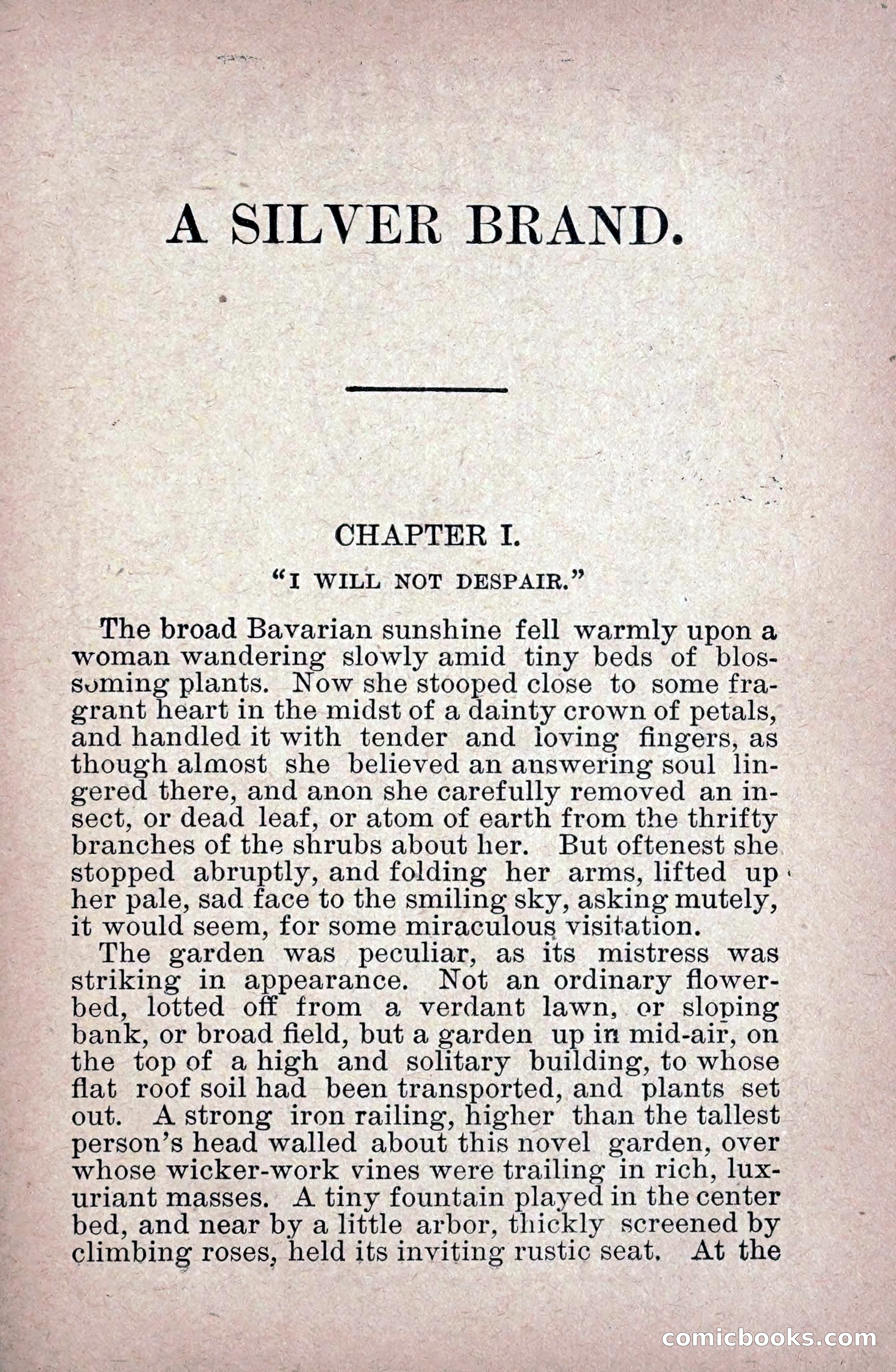 A Silver Brand — page 13 of 314