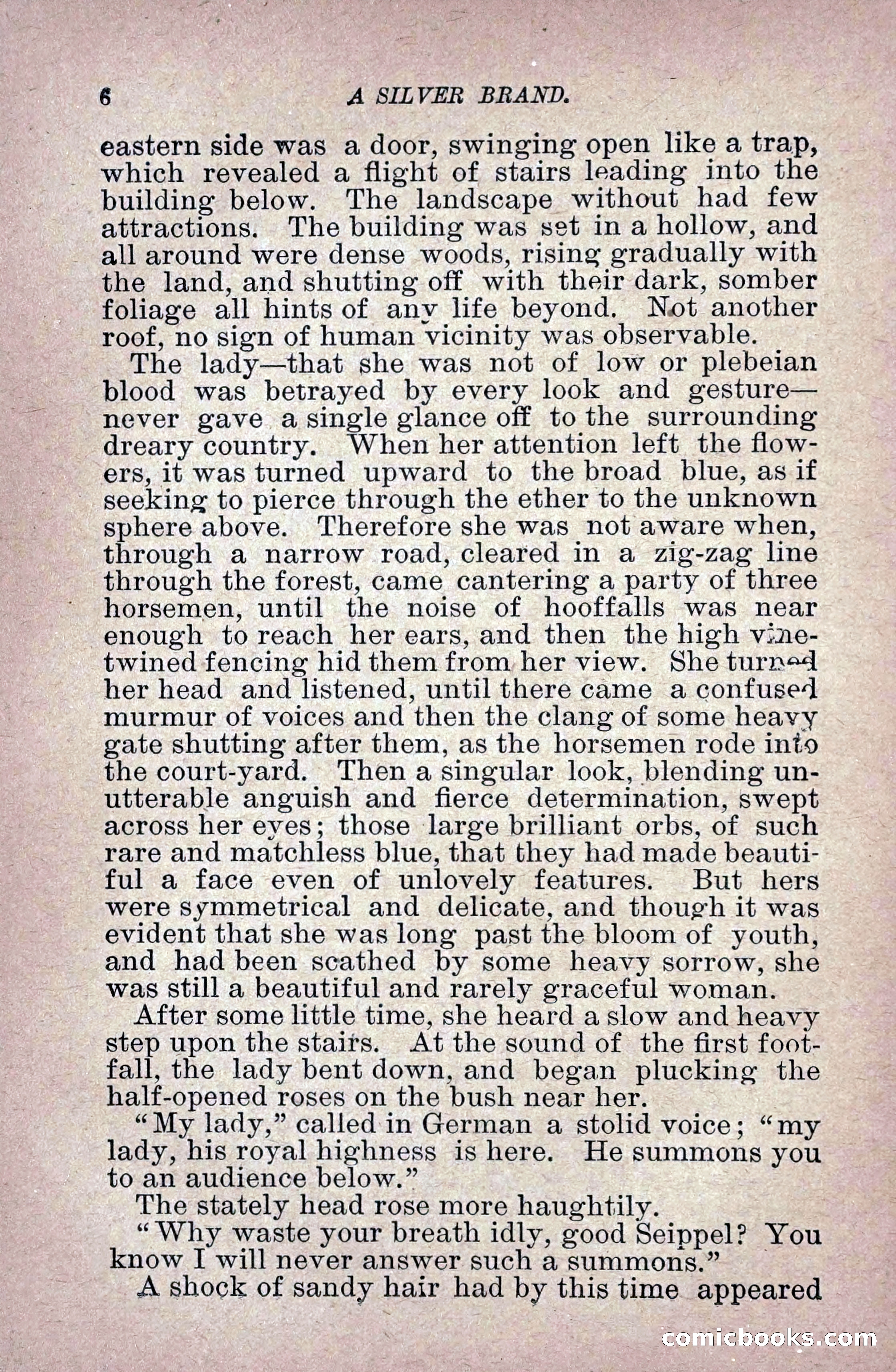 A Silver Brand — page 14 of 314