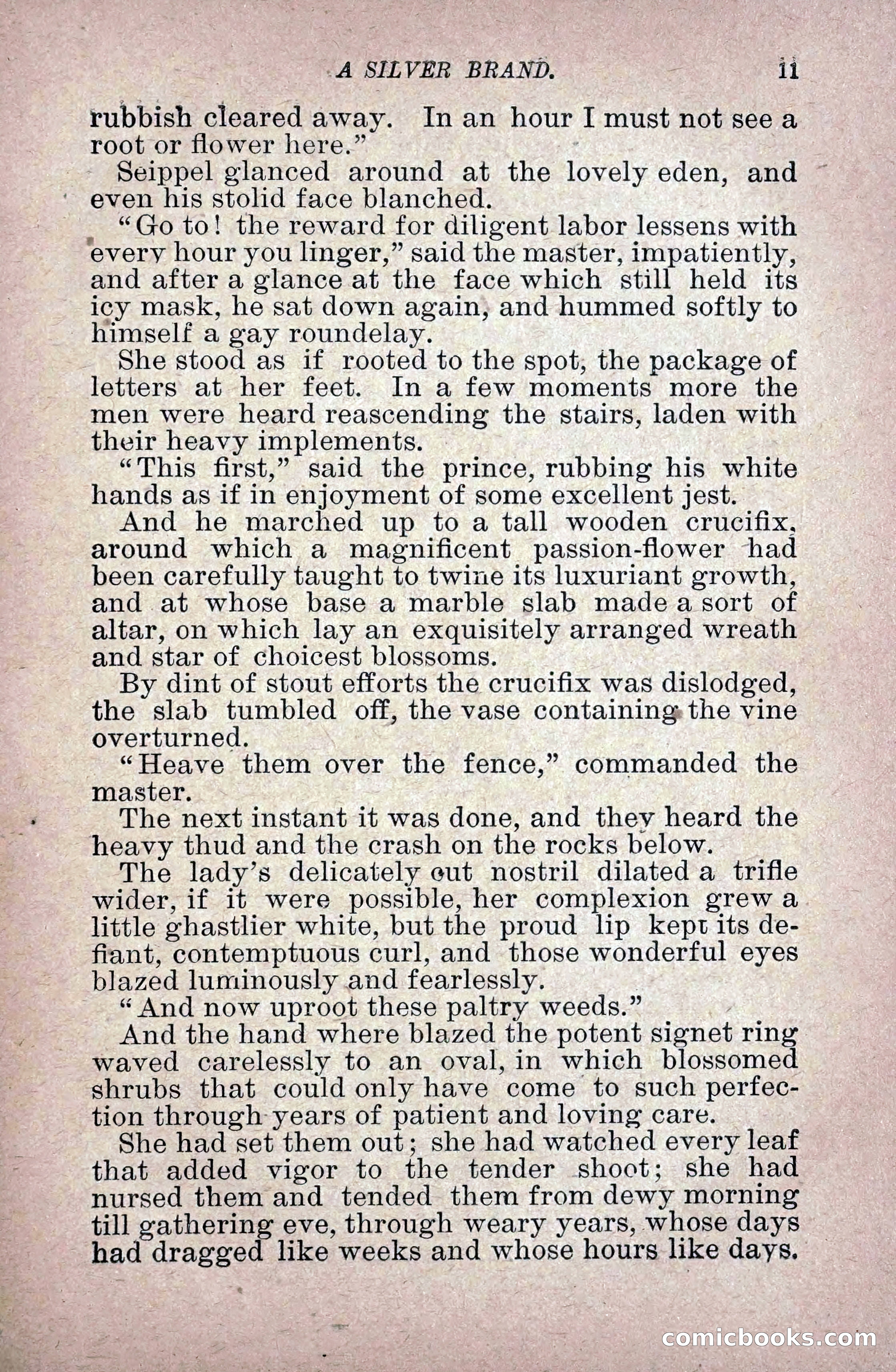 A Silver Brand — page 19 of 314